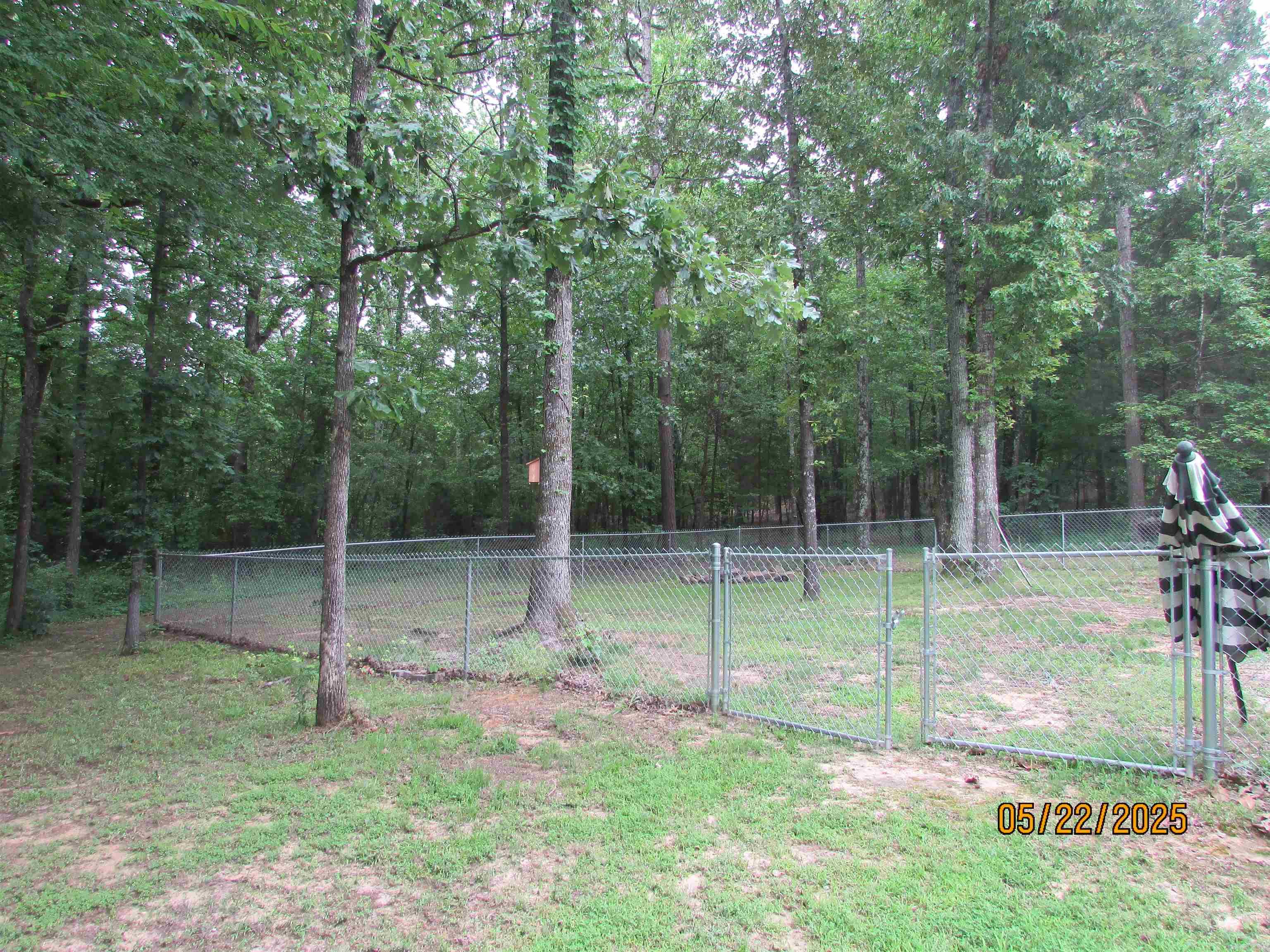 145 Eagles Nest Cove  Austin, AR