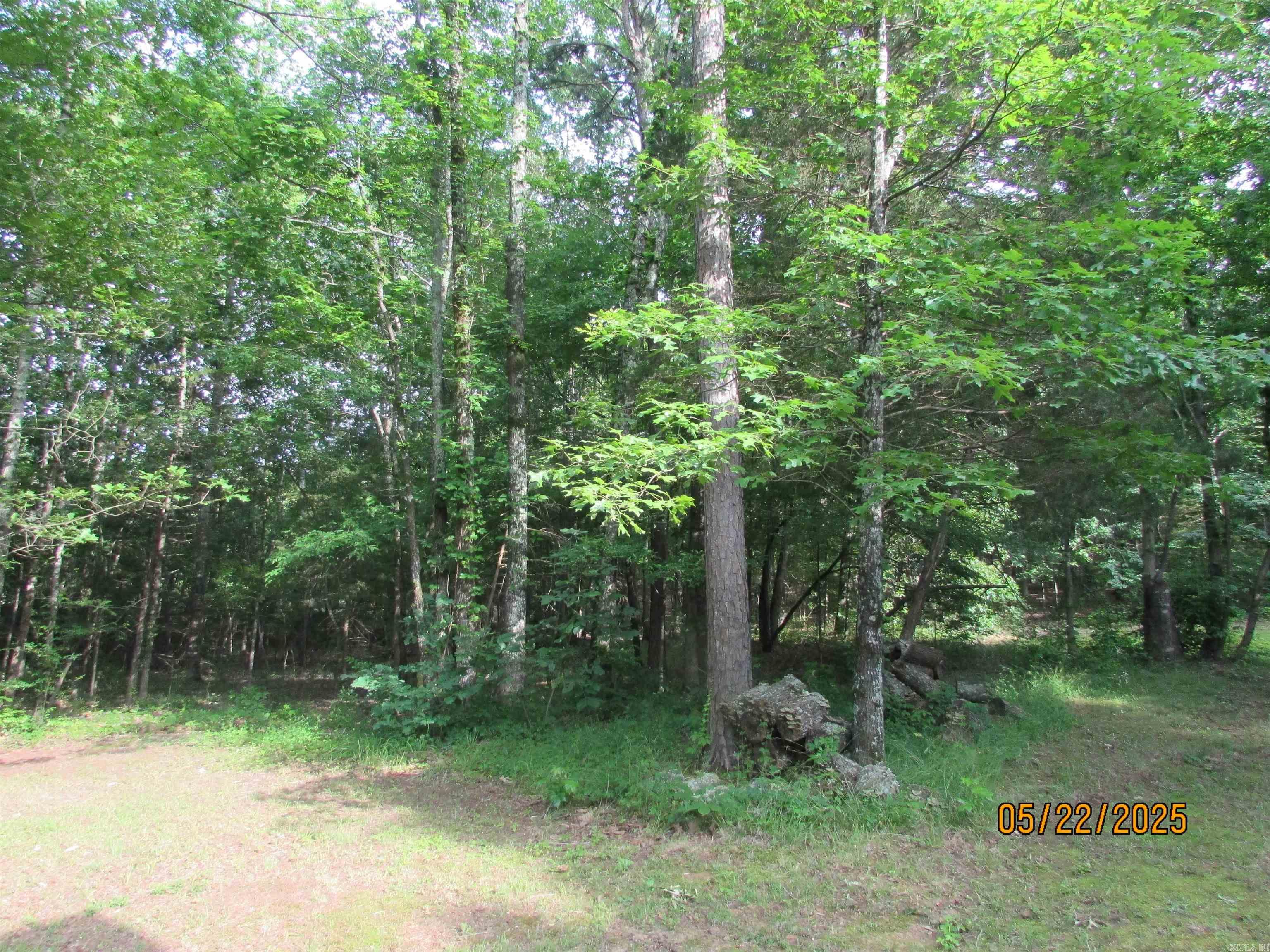 145 Eagles Nest Cove  Austin, AR