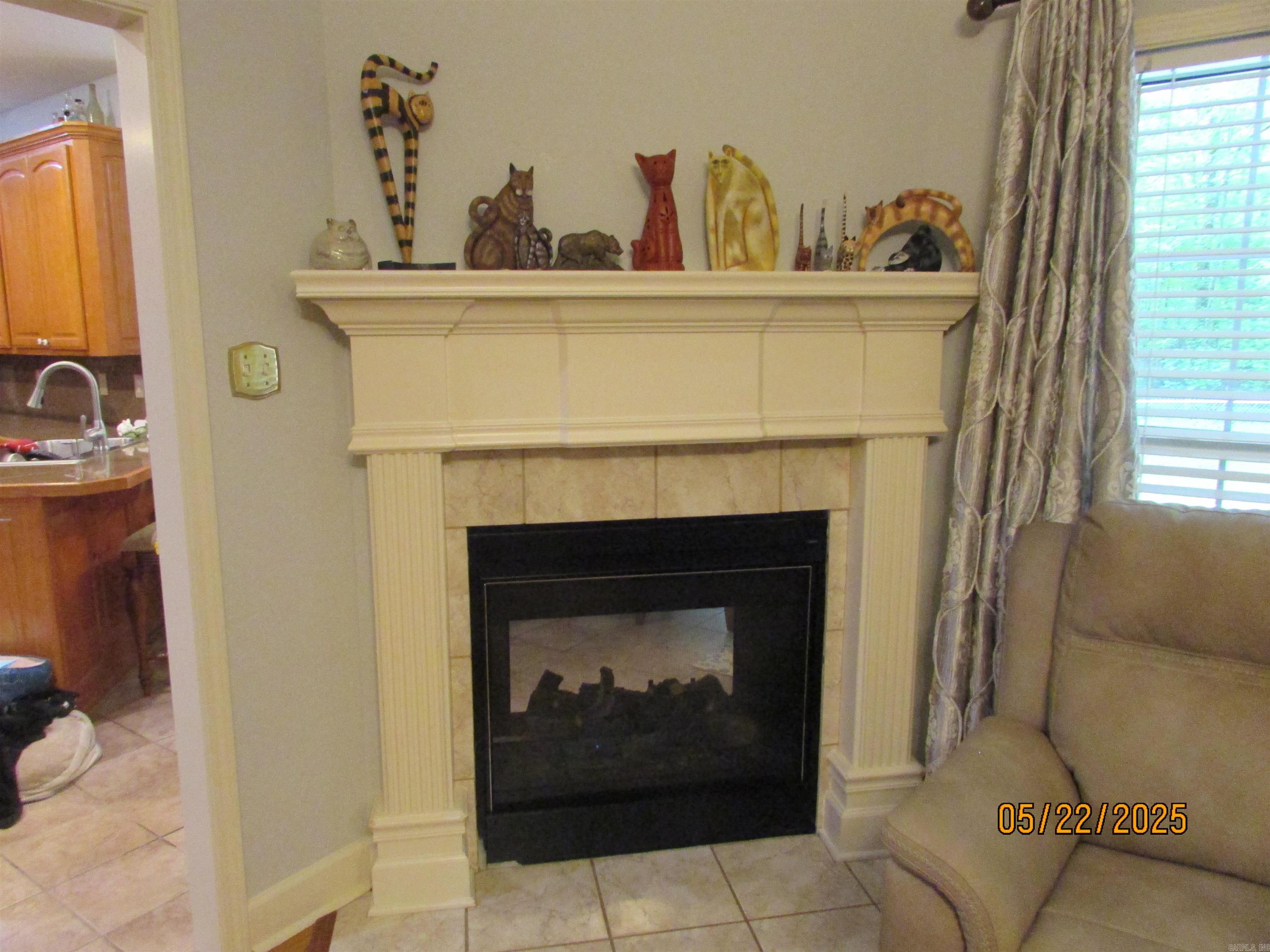 145 Eagles Nest Cove  Austin, AR