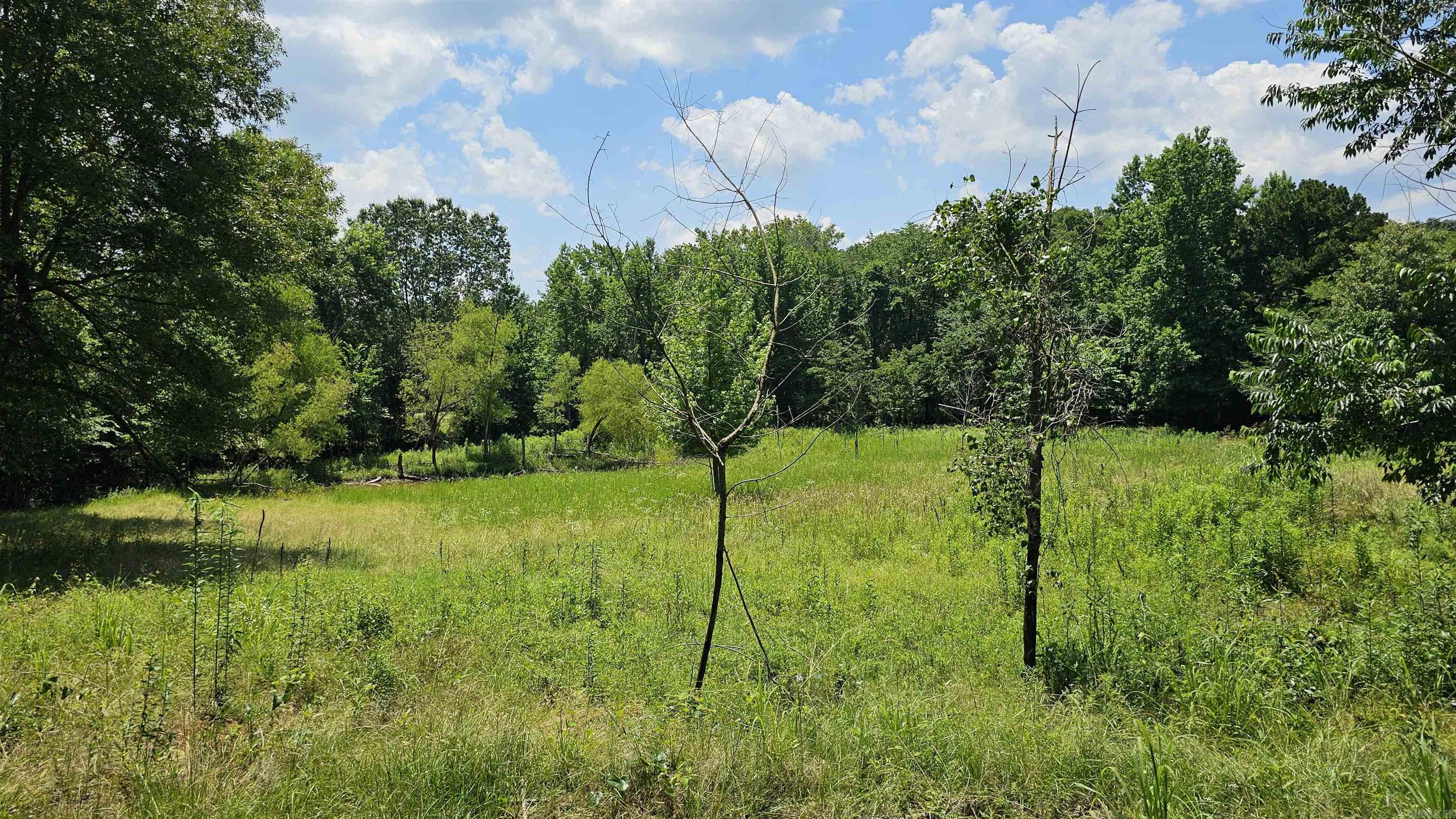 49 Calf Neck Rd  Perryville, AR