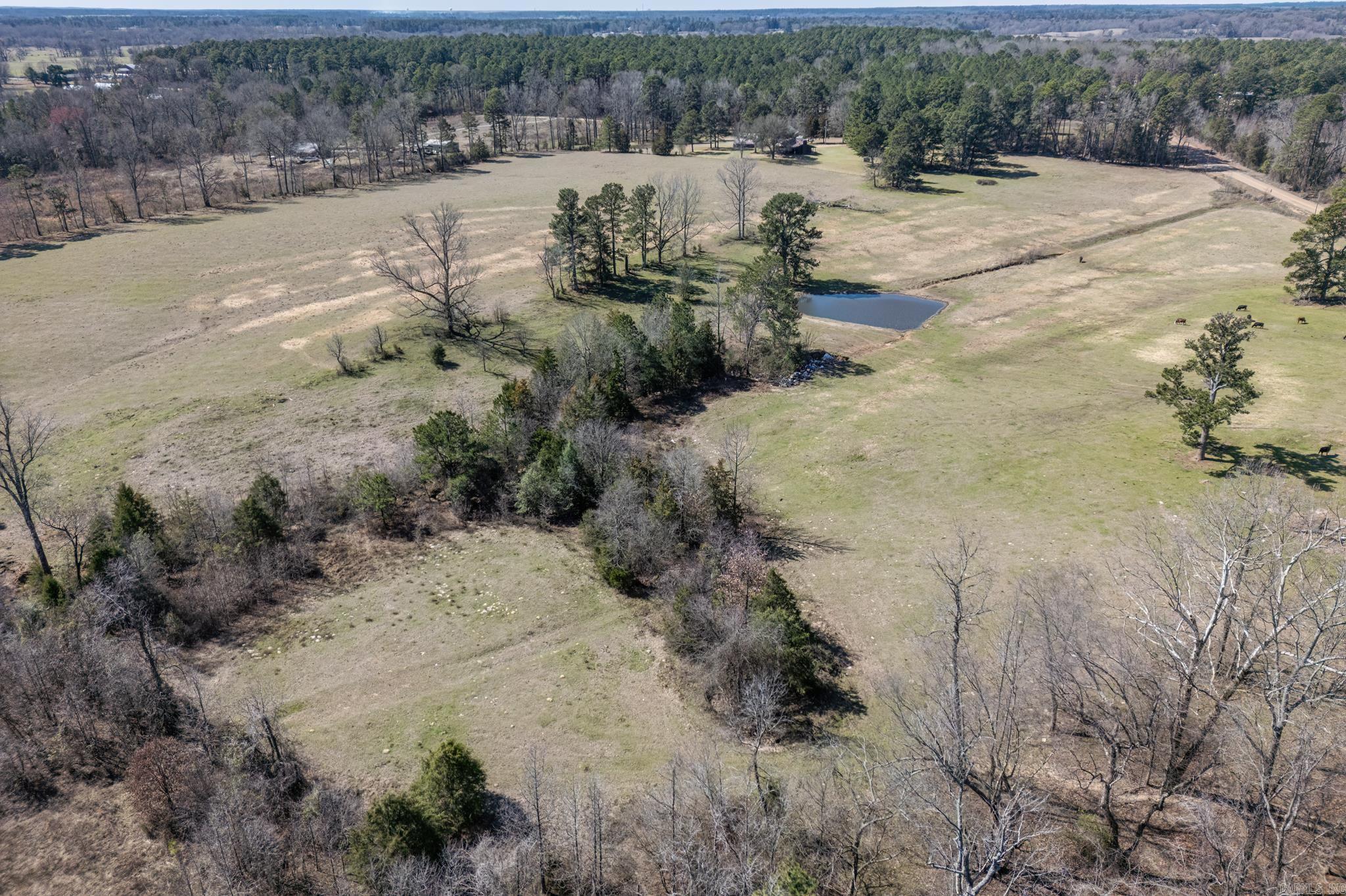 280 N Hwy 195  Hope, AR