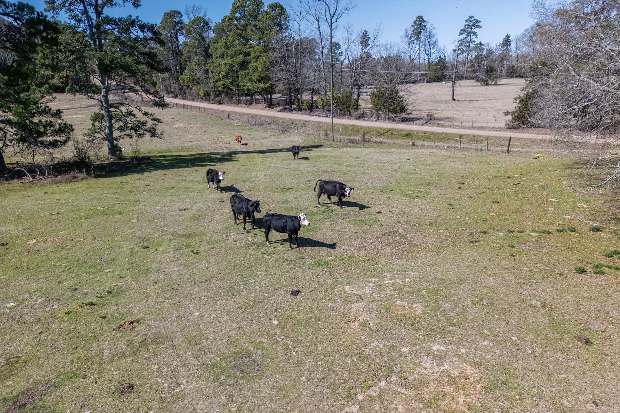 280 N Hwy 195  Hope, AR