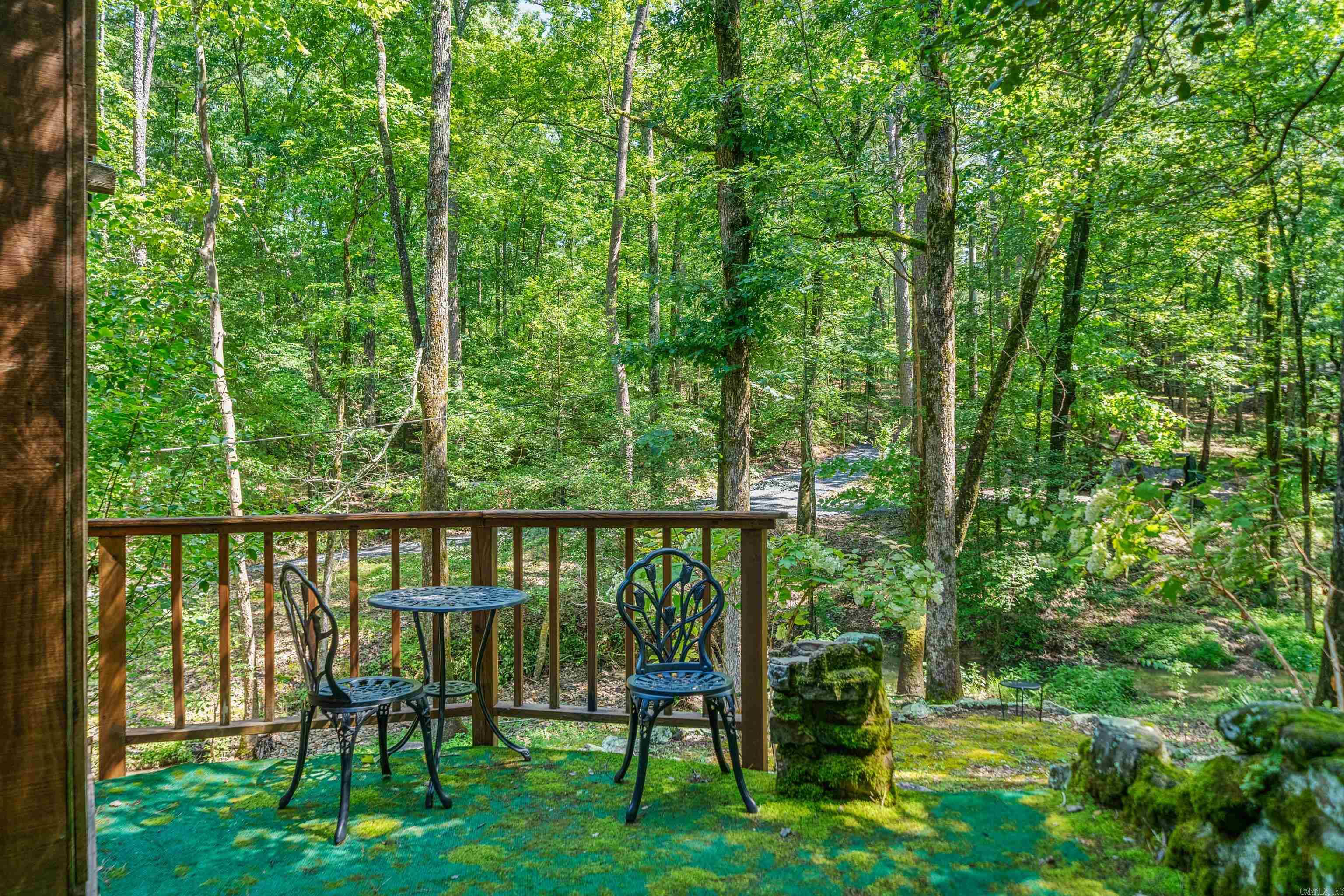 181 Evergreen  Mount Ida, AR