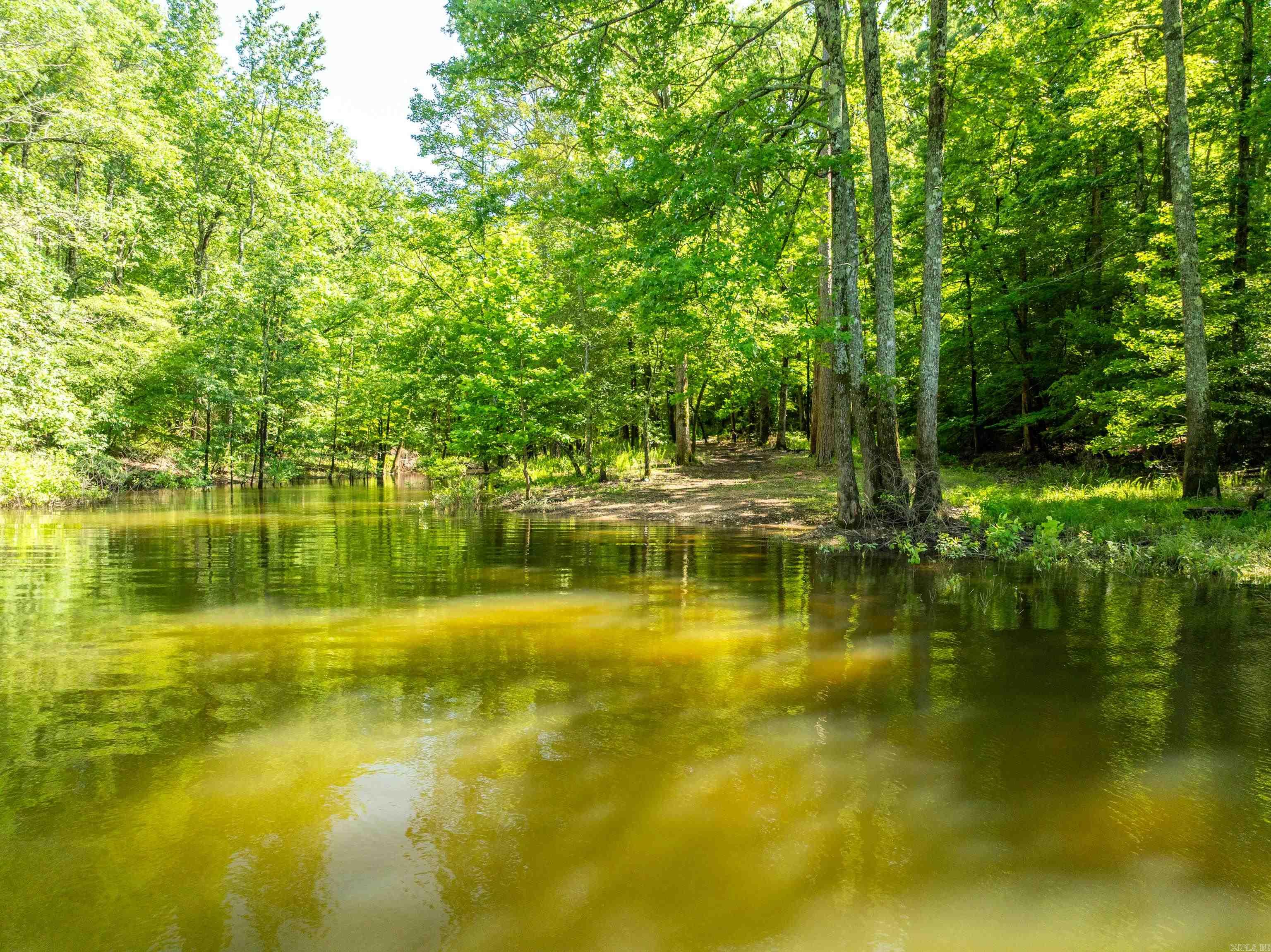 181 Evergreen  Mount Ida, AR