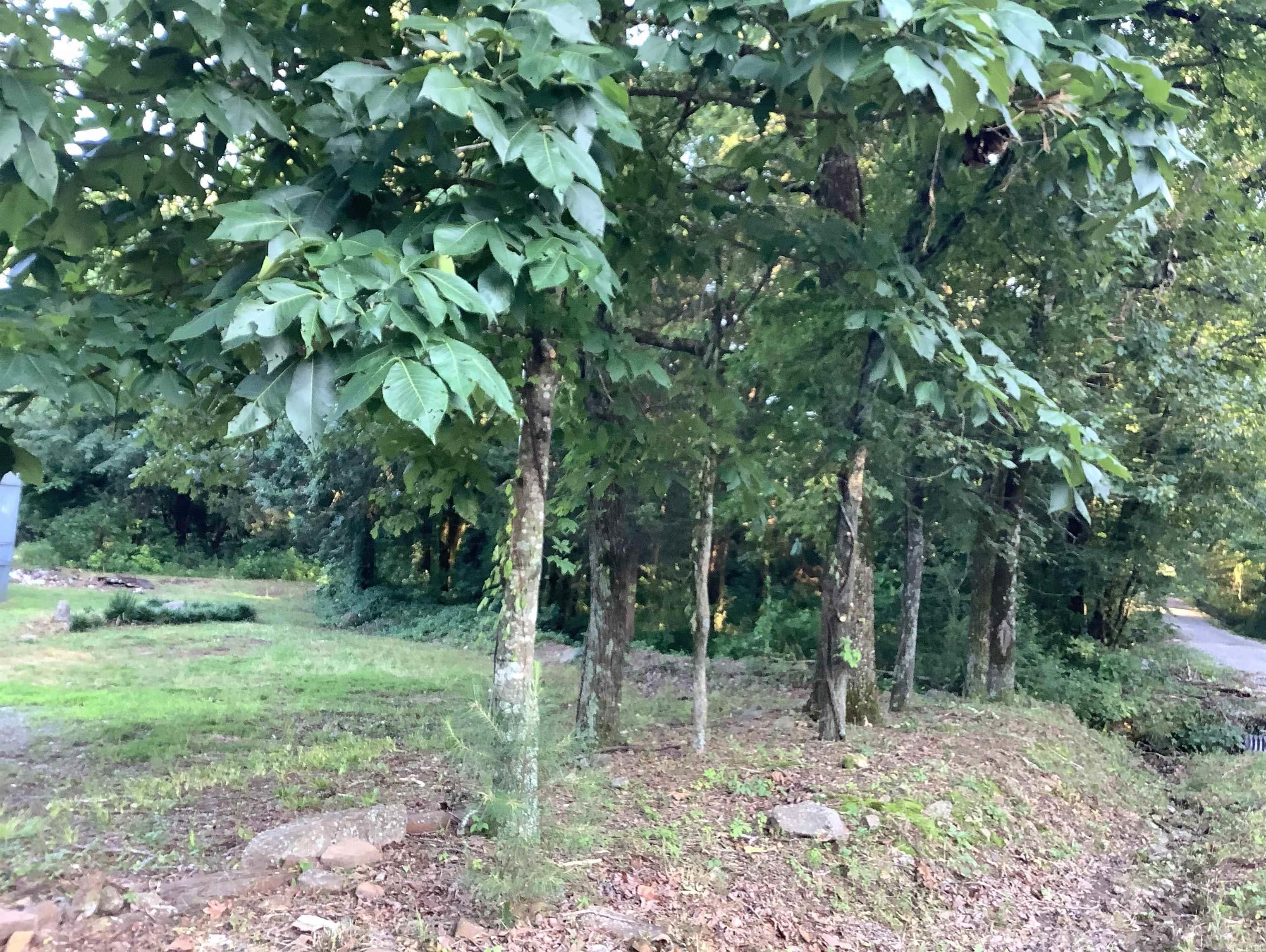 148 Wolf Hollow Rd.  Bald Knob, AR