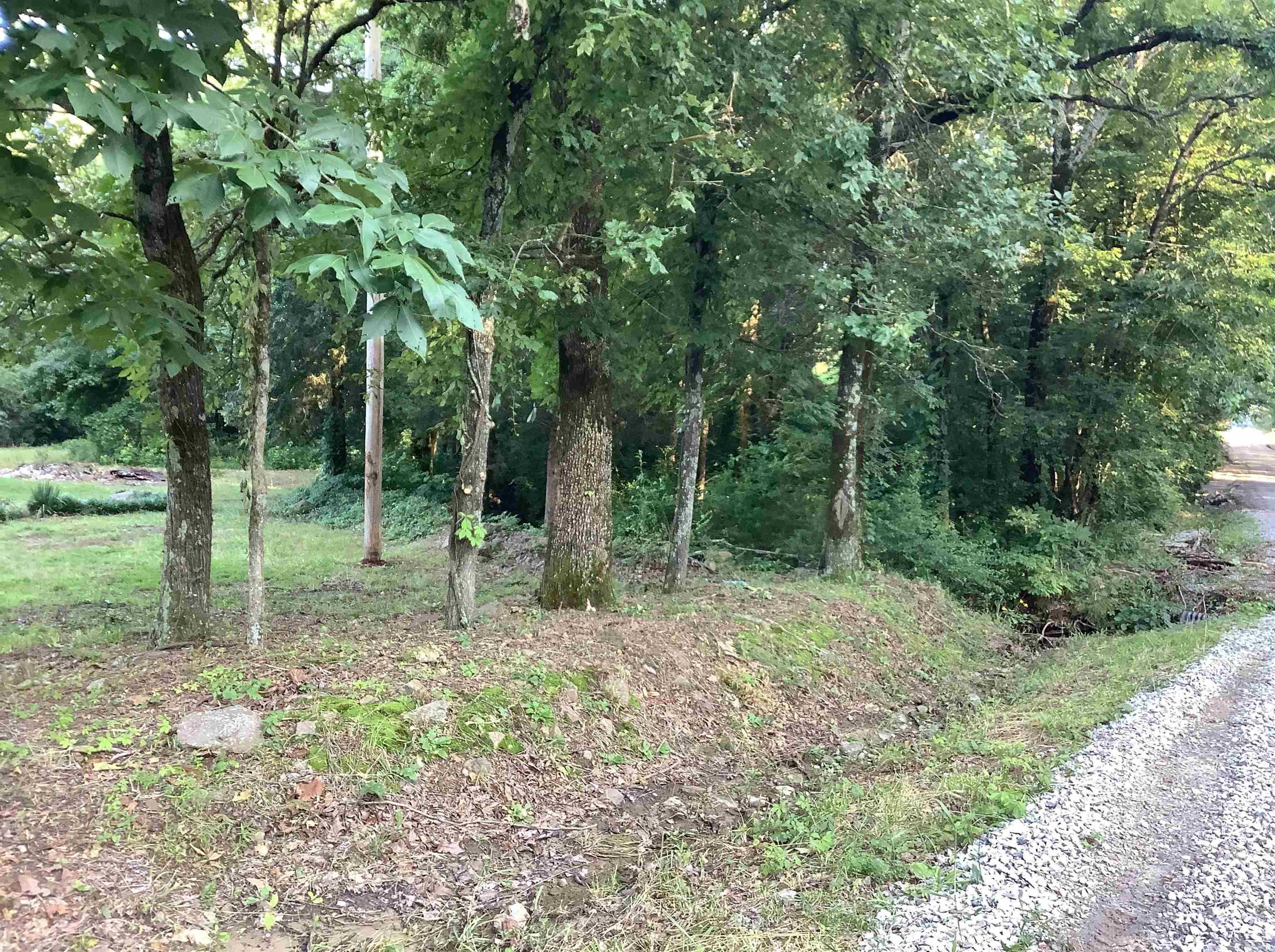 148 Wolf Hollow Rd.  Bald Knob, AR