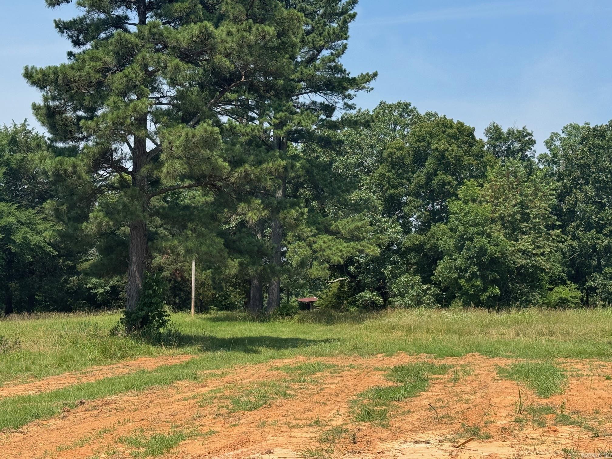 19 Mountain Grove  Greenbrier, AR