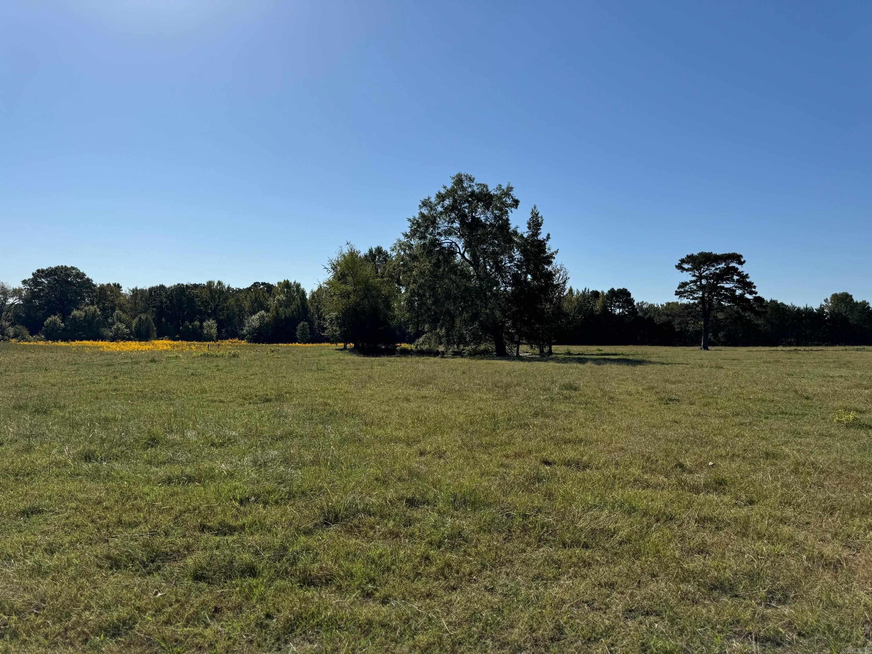 527 W Hwy 225  Greenbrier, AR