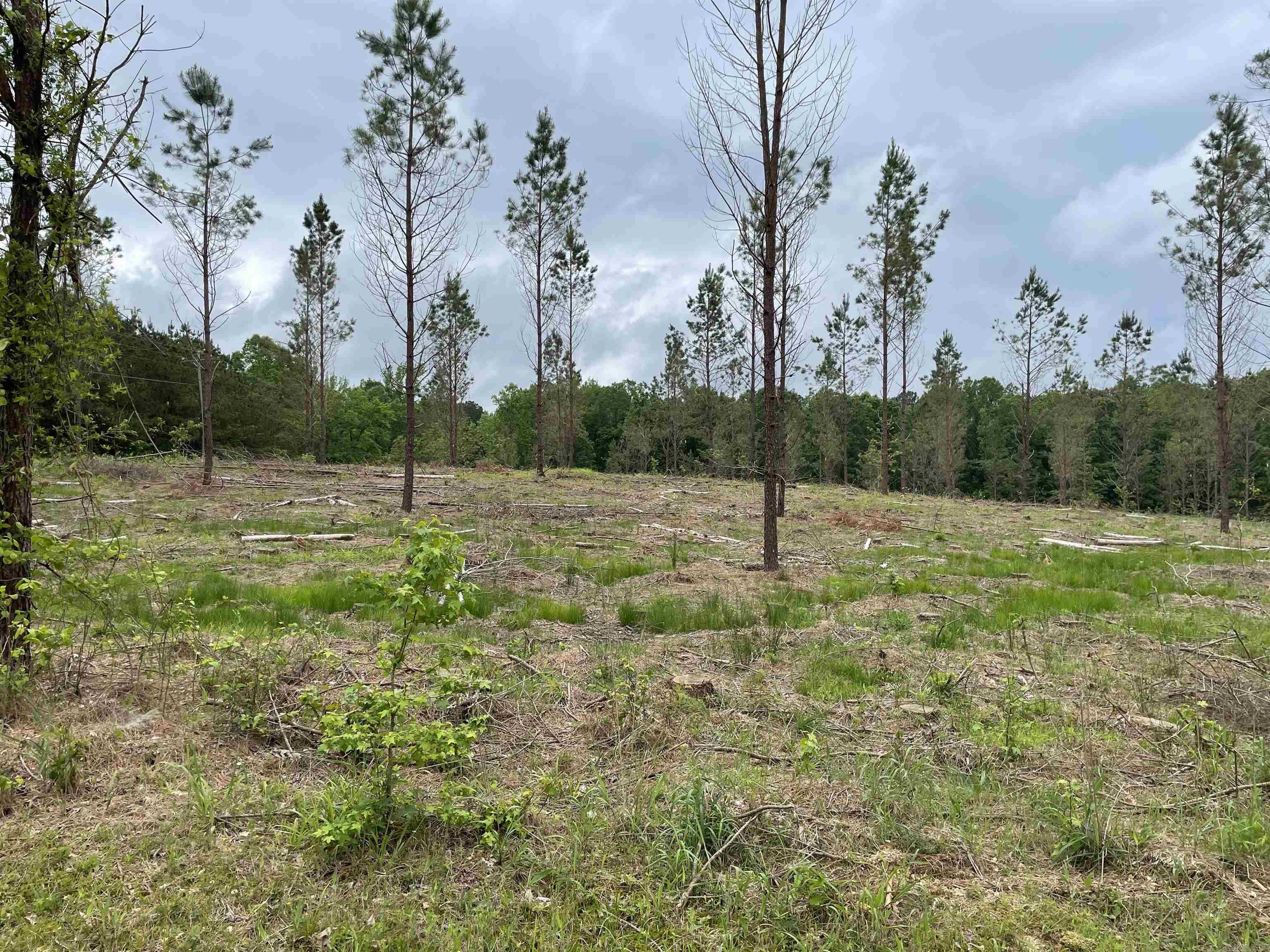 0 Grant 433  Sheridan, AR