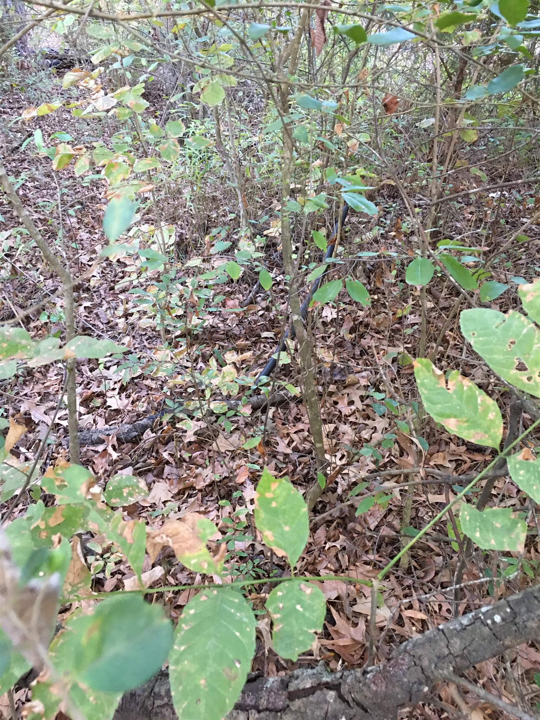 4418 Lena  Jacksonville, AR