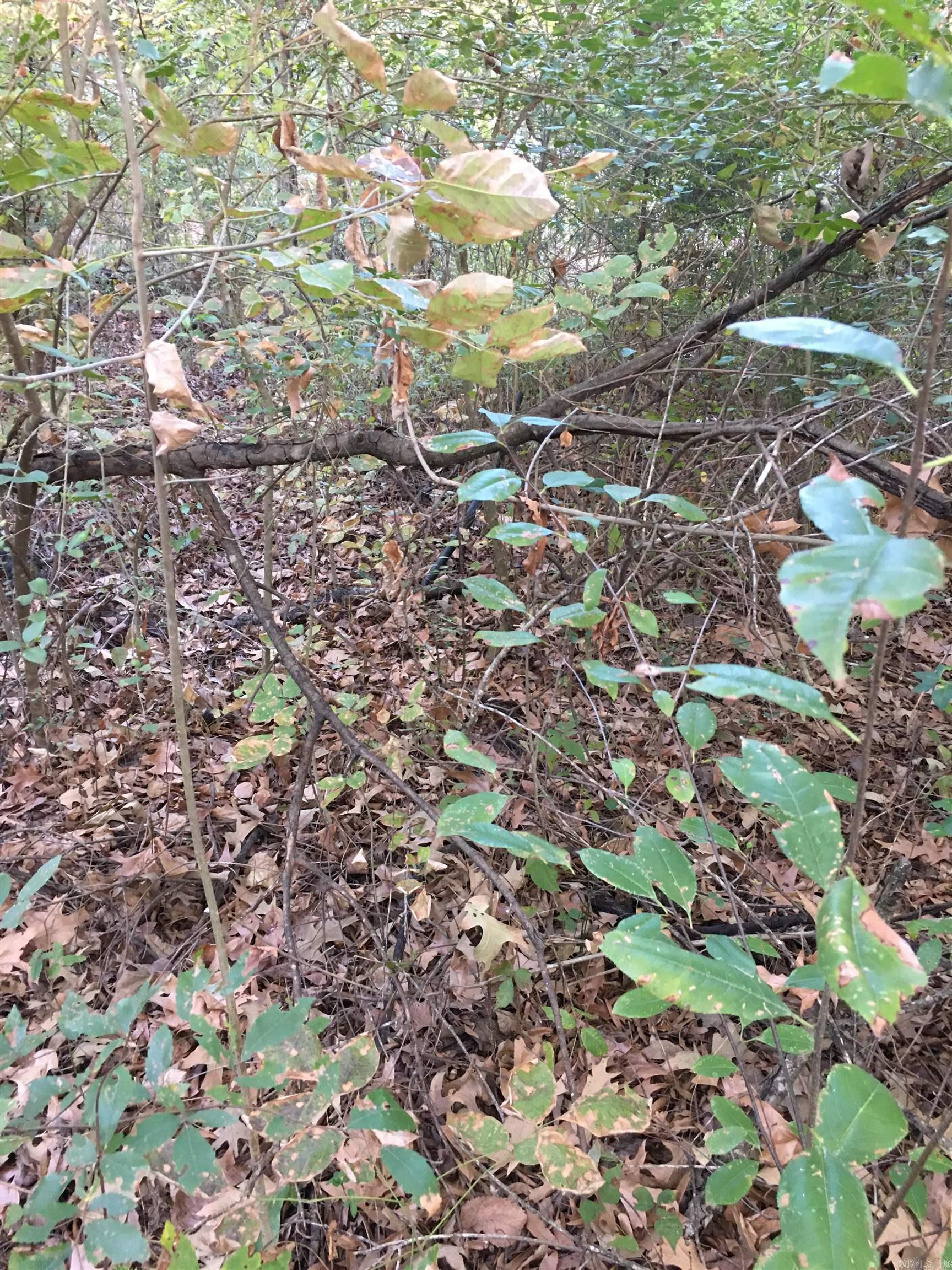 4418 Lena  Jacksonville, AR