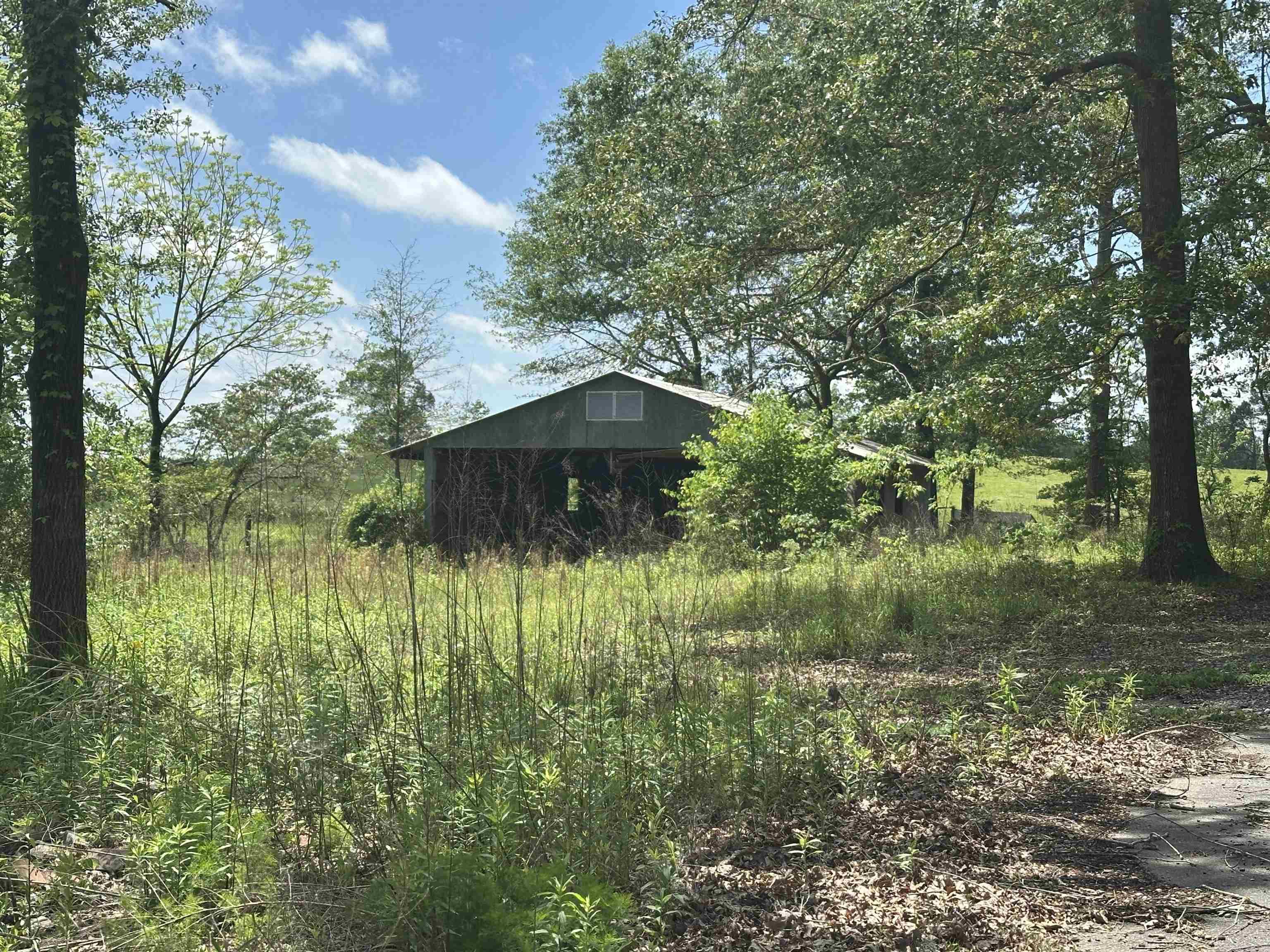 17811 & 17812 Puckett Rd & 17813 Alexander, AR