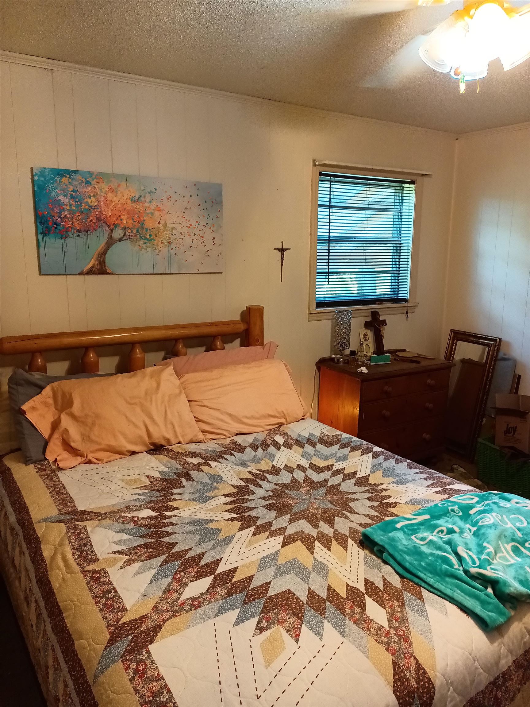 203 Diamond Ln  Horseshoe Bend, AR