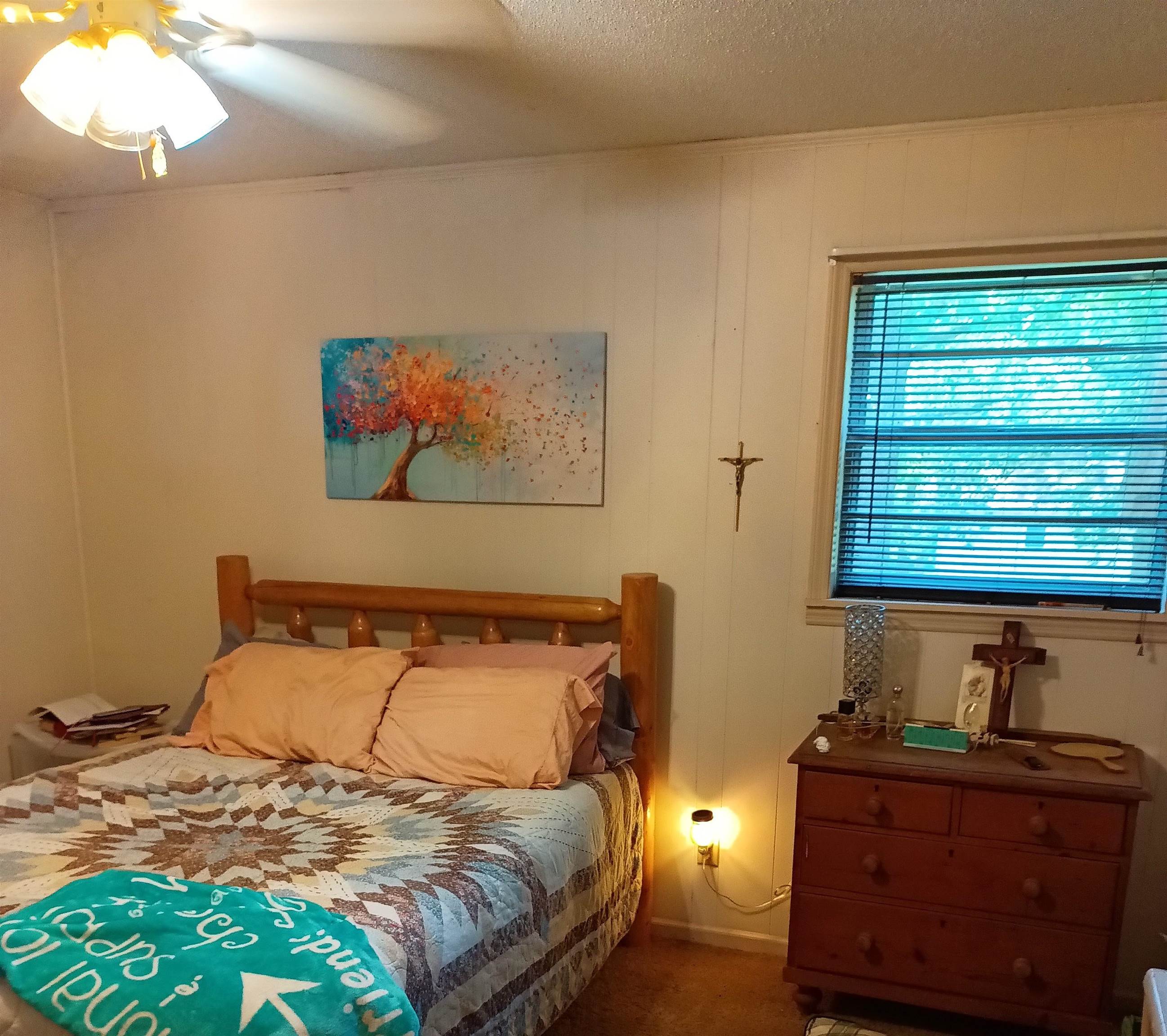 203 Diamond Ln  Horseshoe Bend, AR