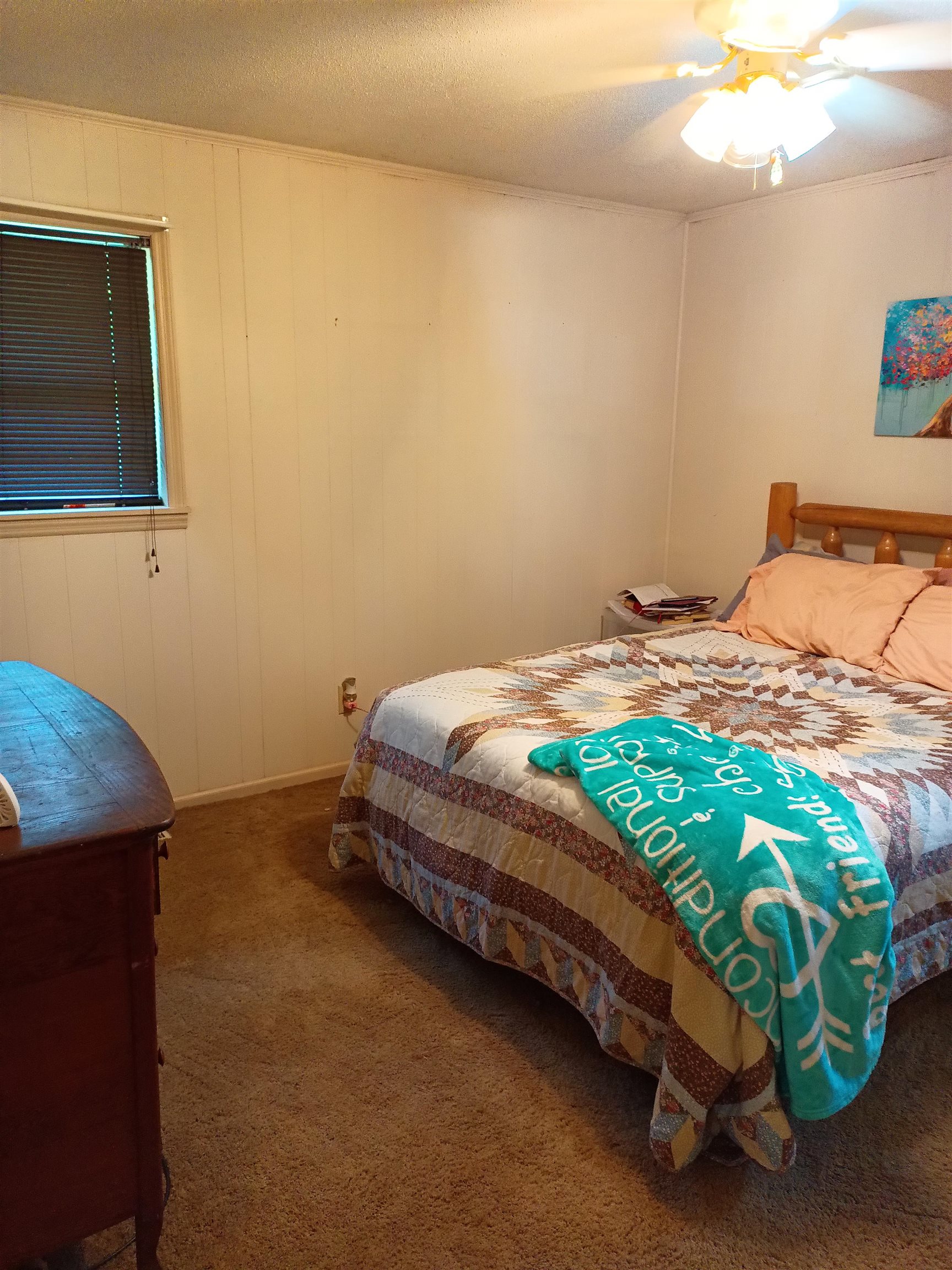 203 Diamond Ln  Horseshoe Bend, AR