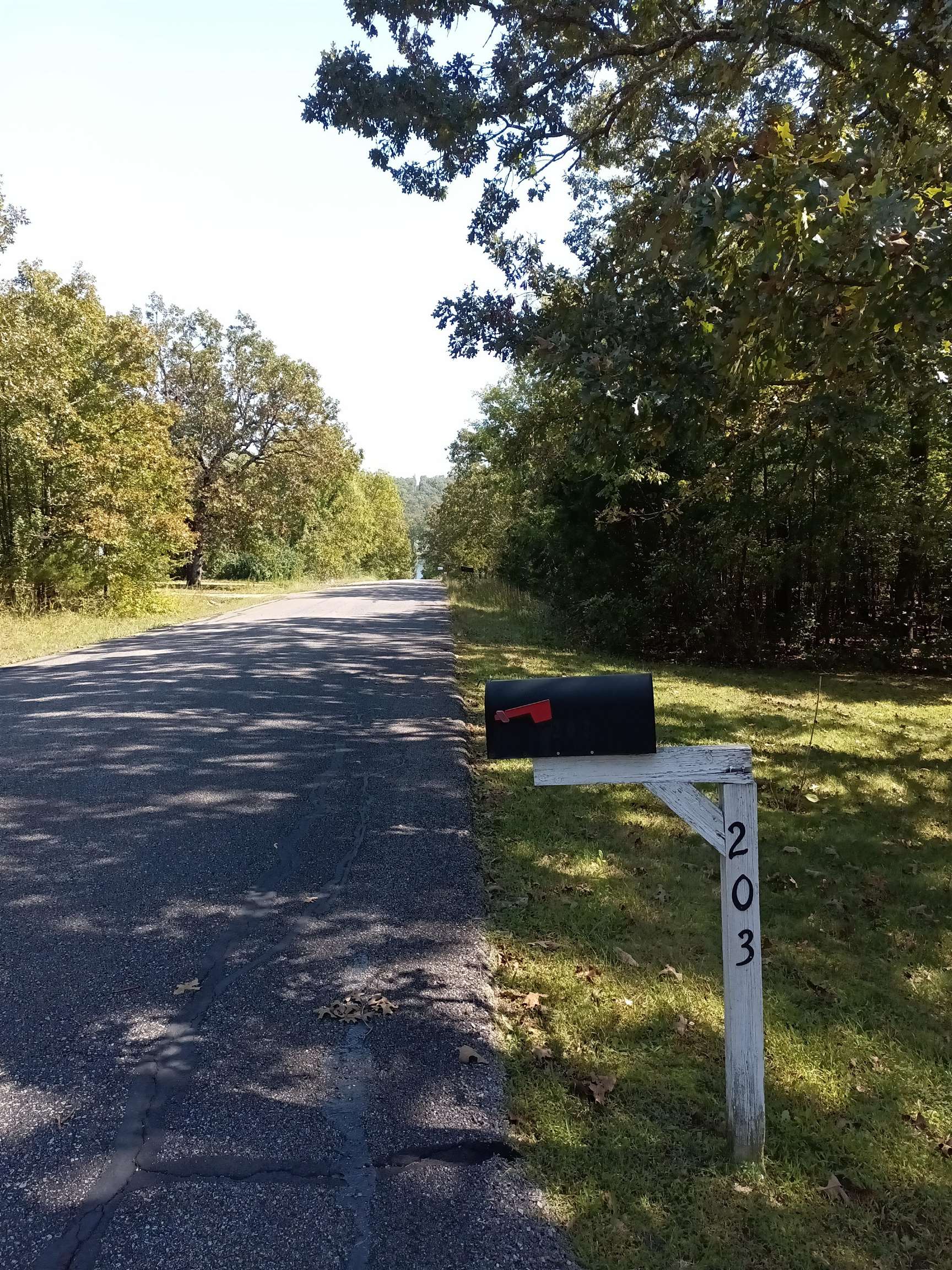 203 Diamond Ln  Horseshoe Bend, AR