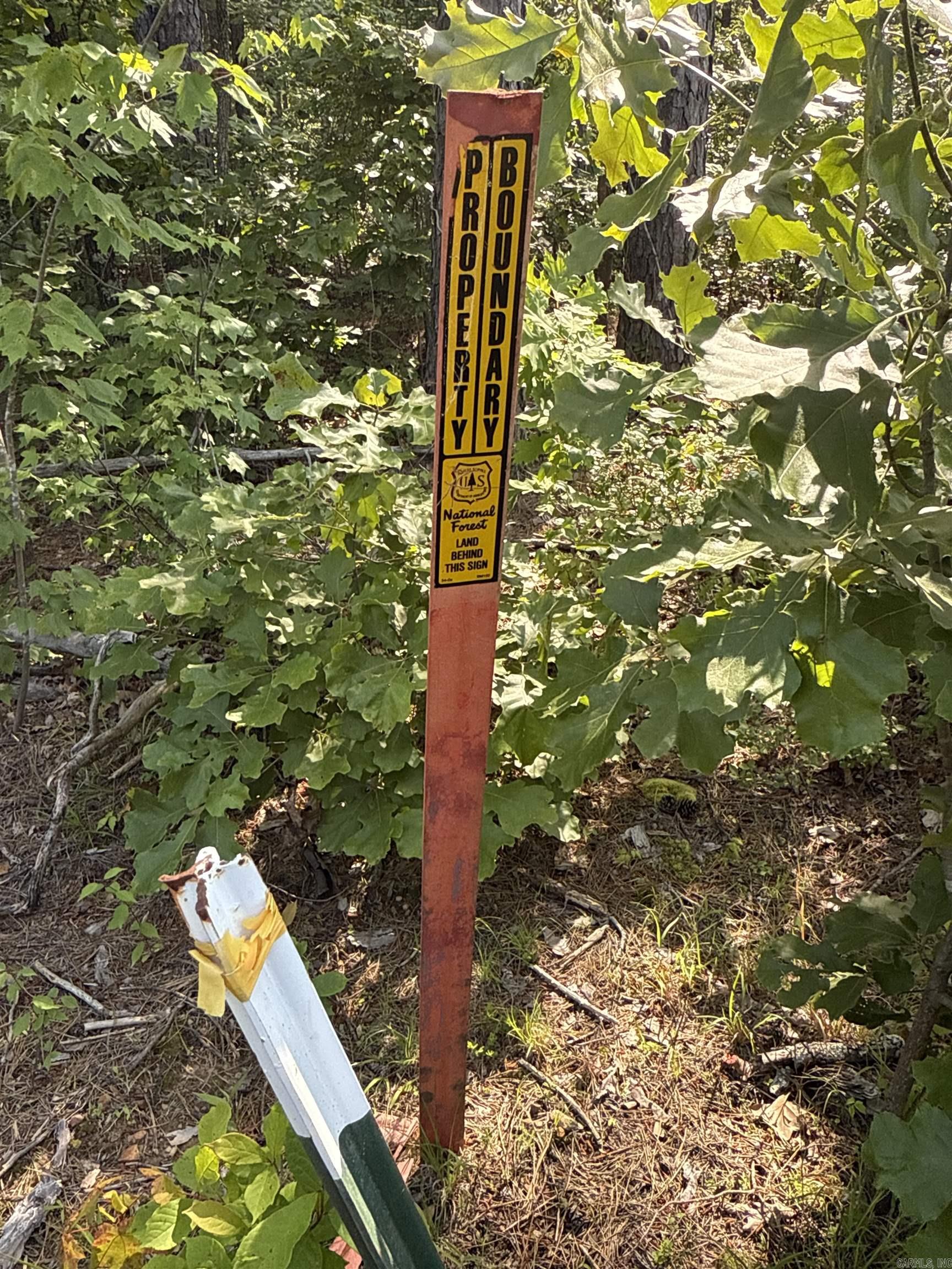 00 Nickel  Witt Springs, AR