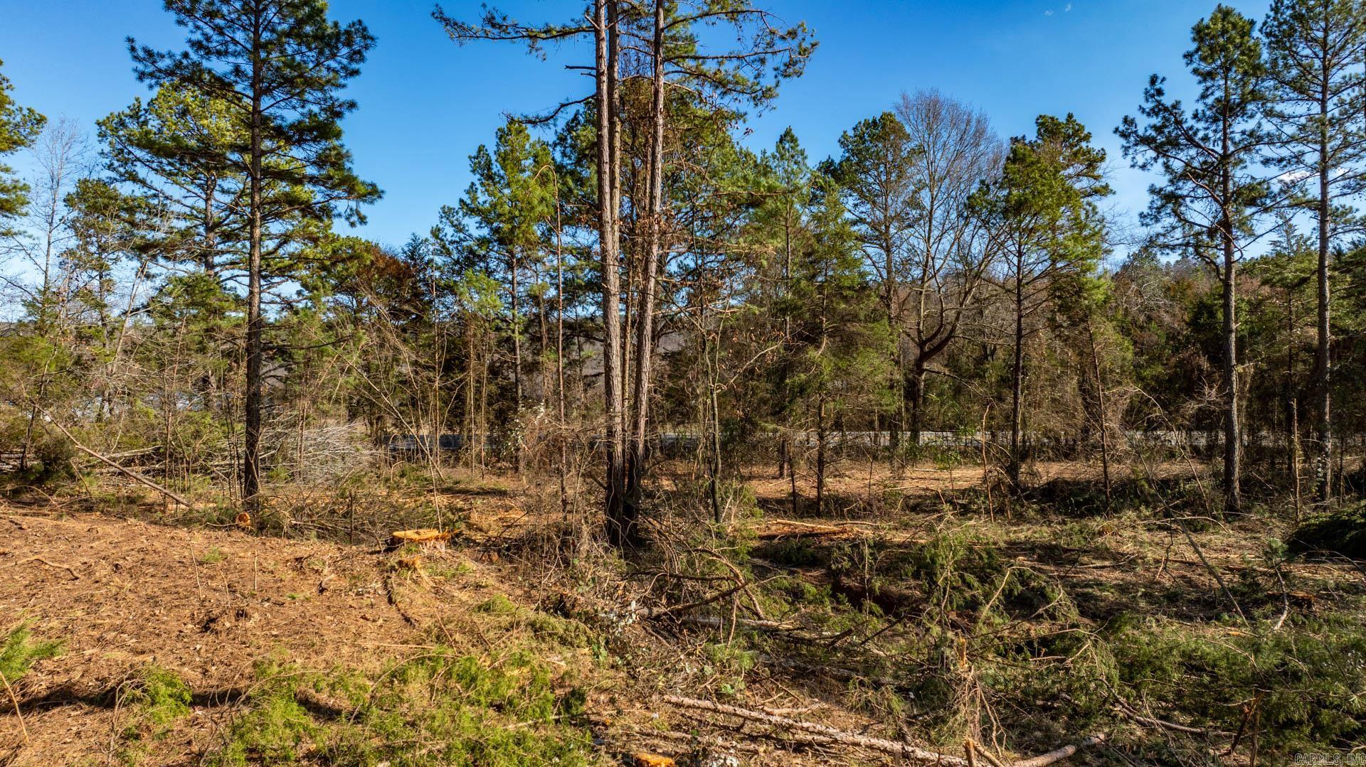 Tract 2 Hwy124  Springfield, AR