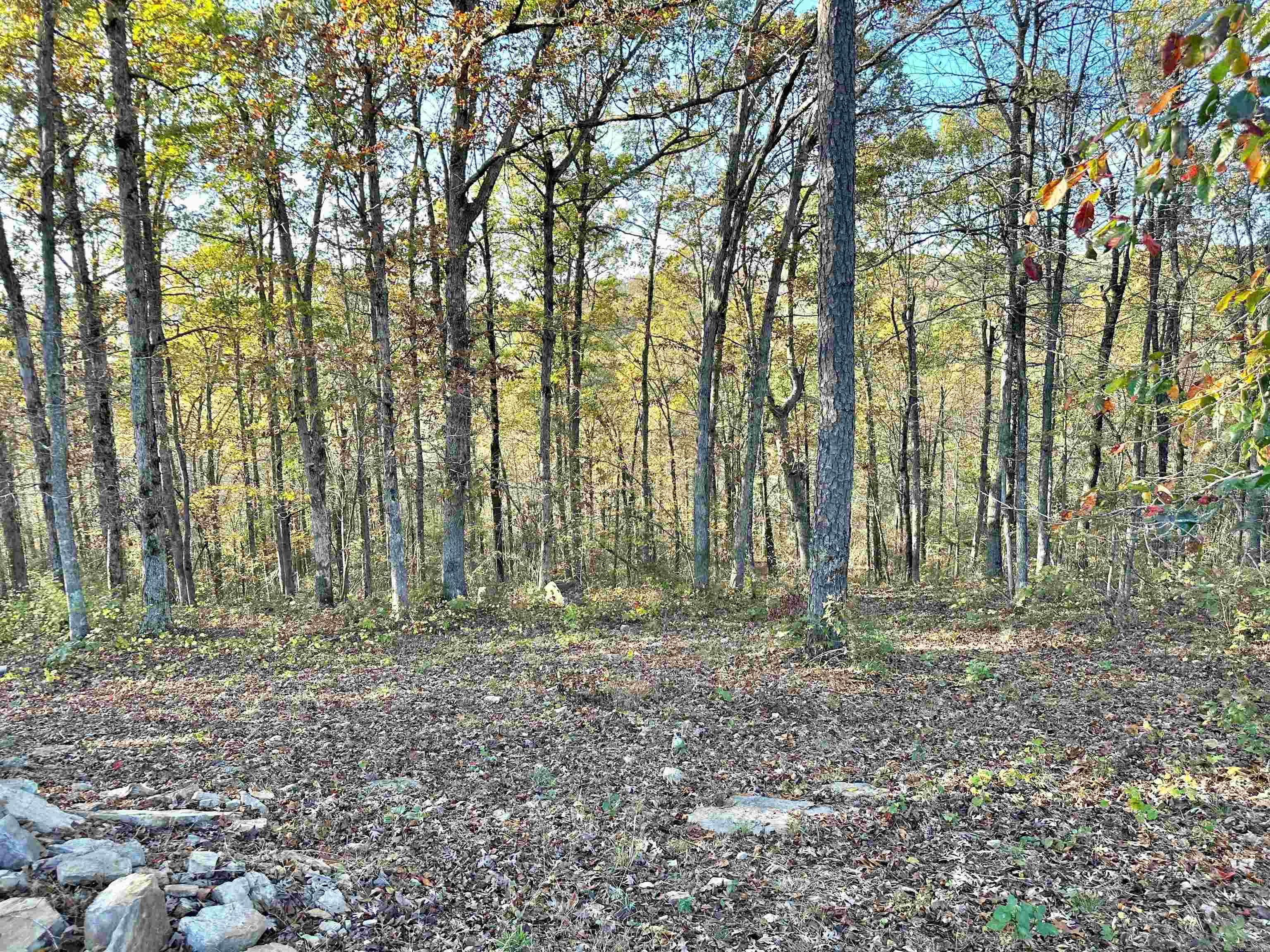 8997 Highway 9  Mountain View, AR
