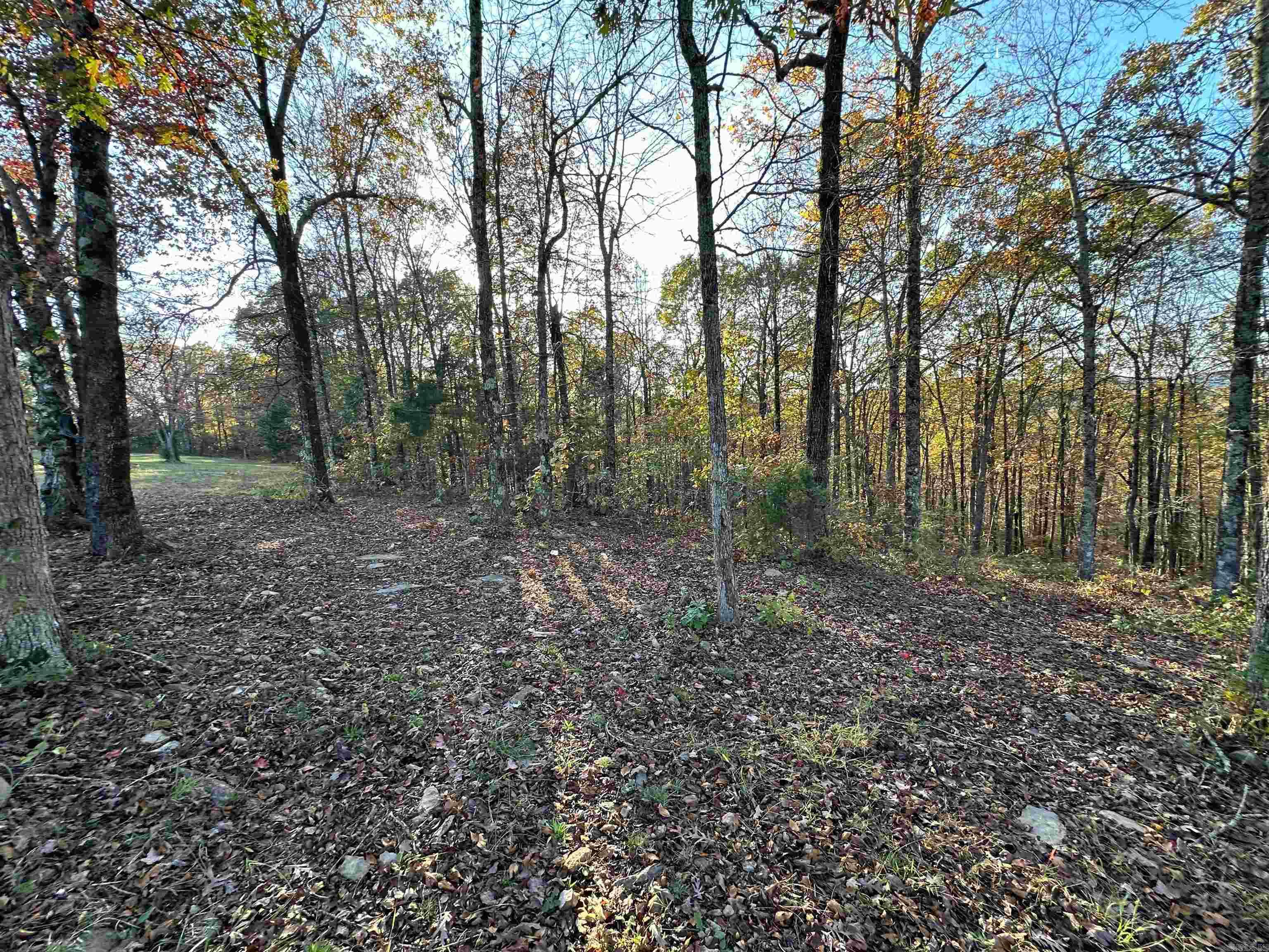 8997 Highway 9  Mountain View, AR