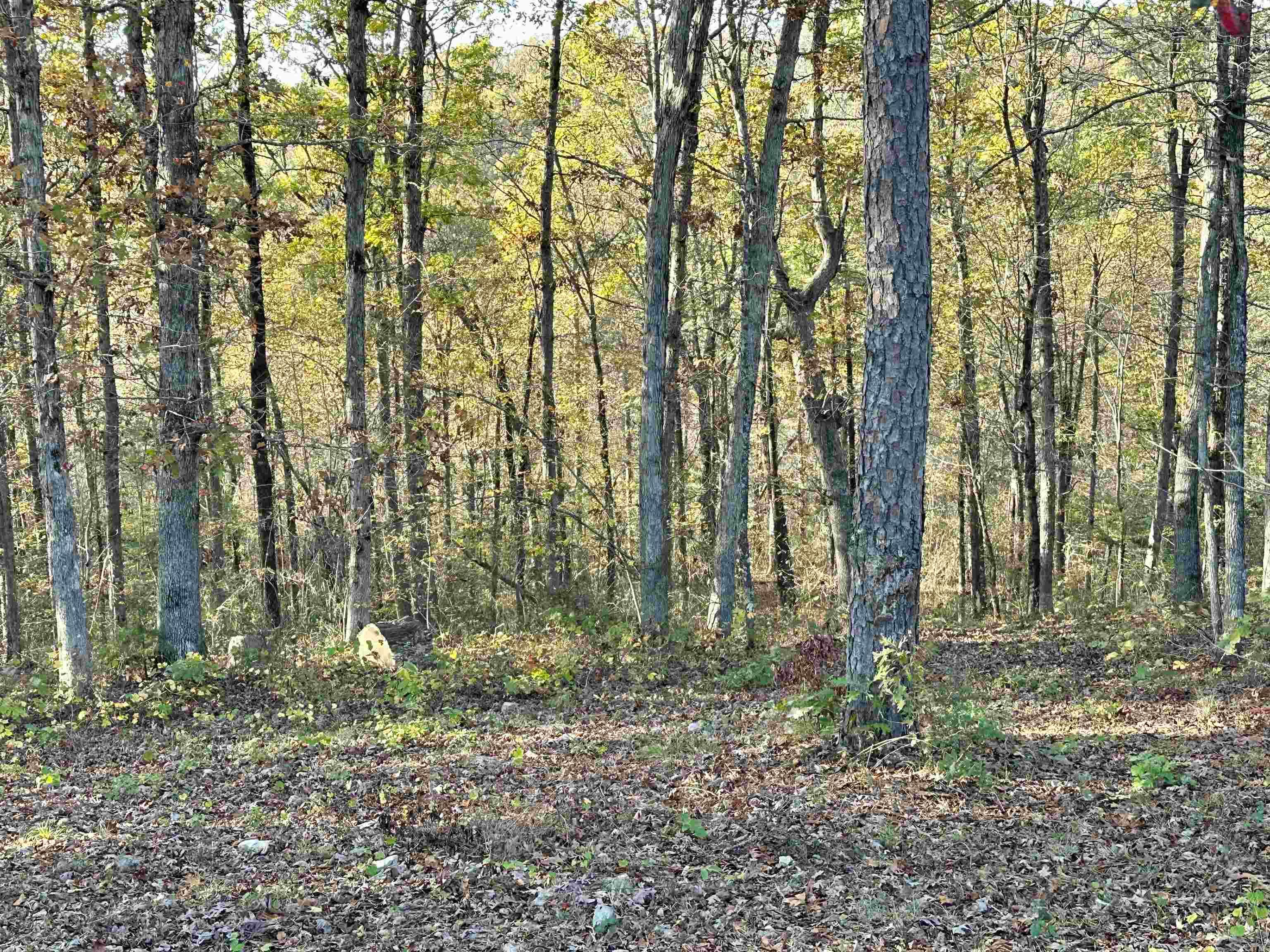 8997 Highway 9  Mountain View, AR