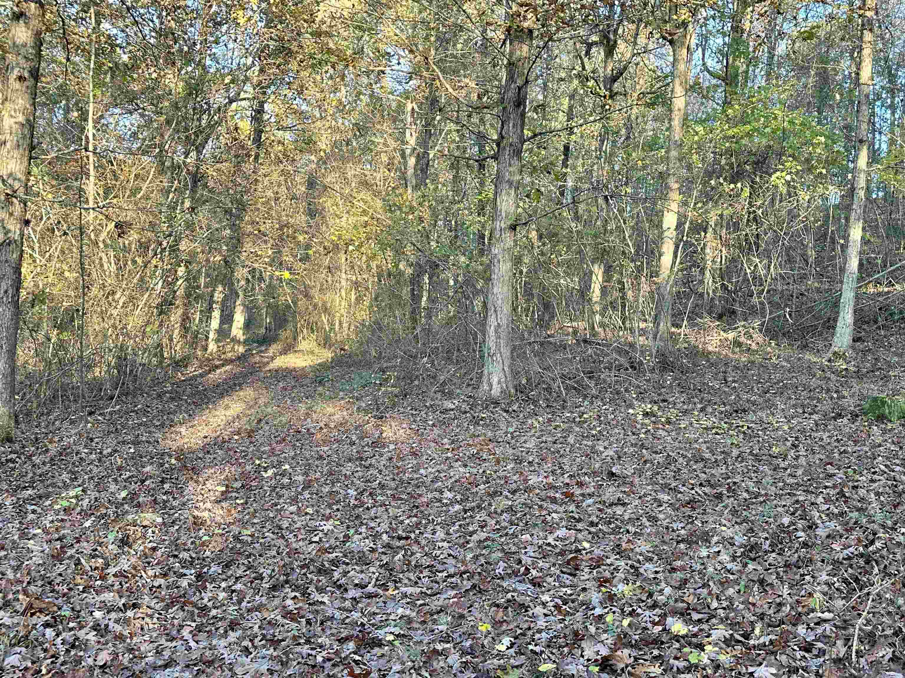 8997 Highway 9  Mountain View, AR