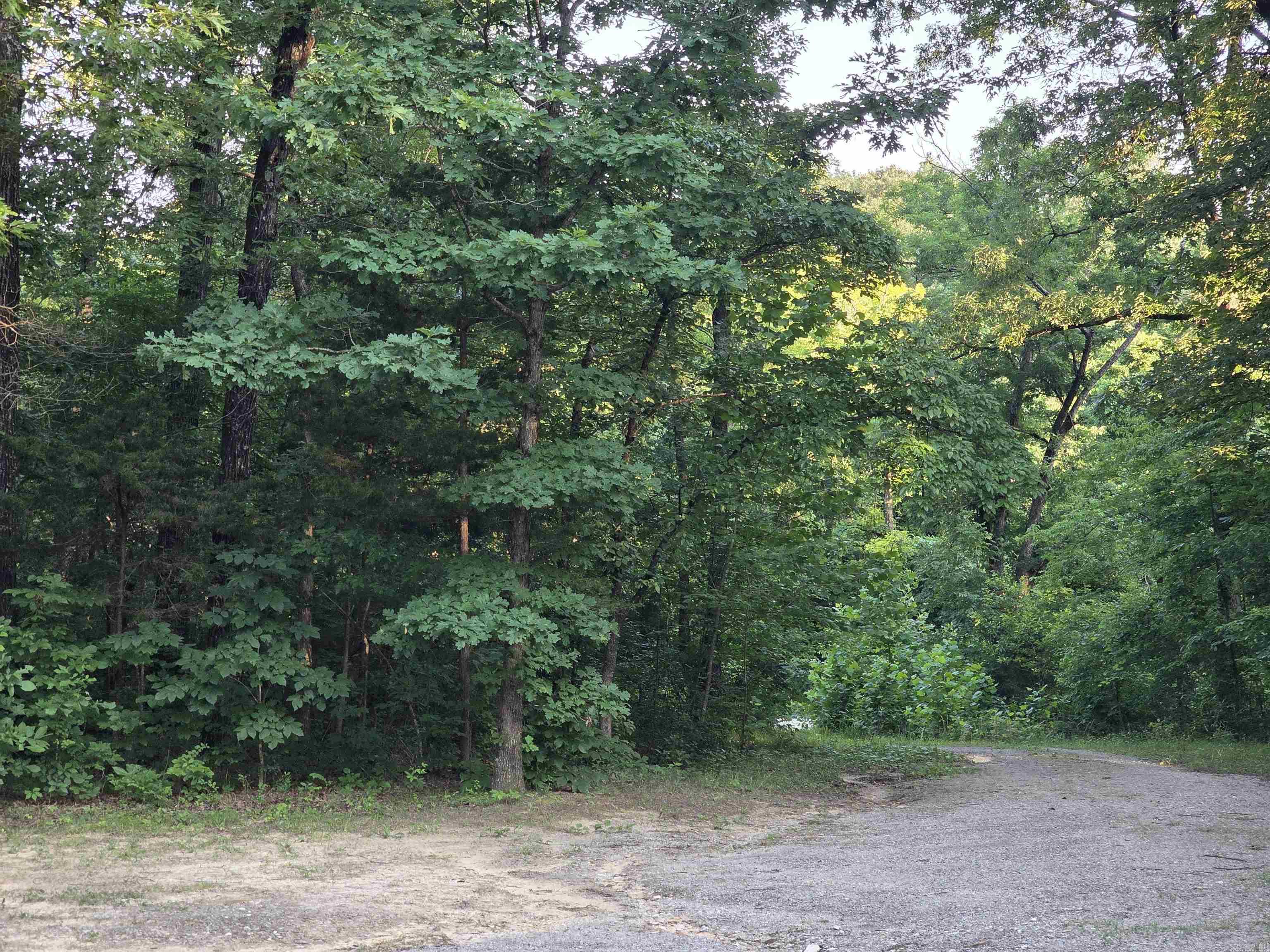 220 Hopewell Hollow RD  Norfork, AR