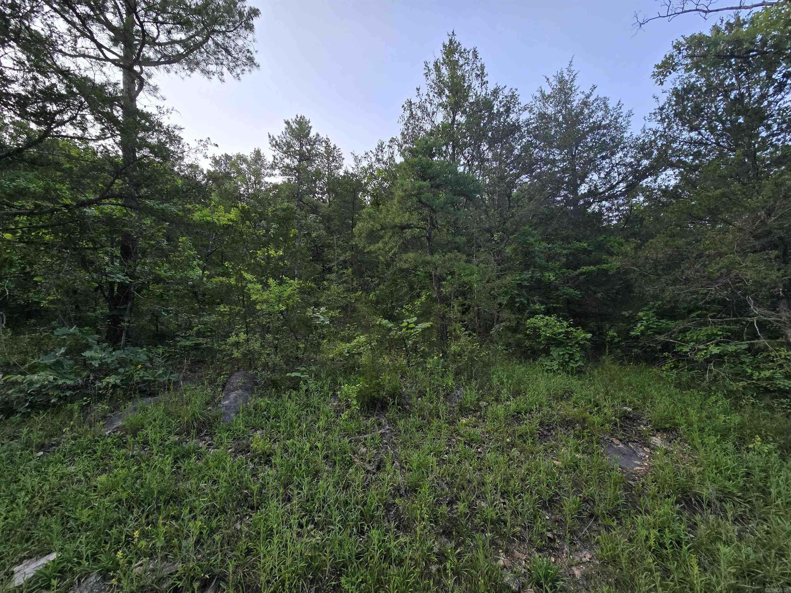  N Hopewell Hollow RD  Norfork, AR