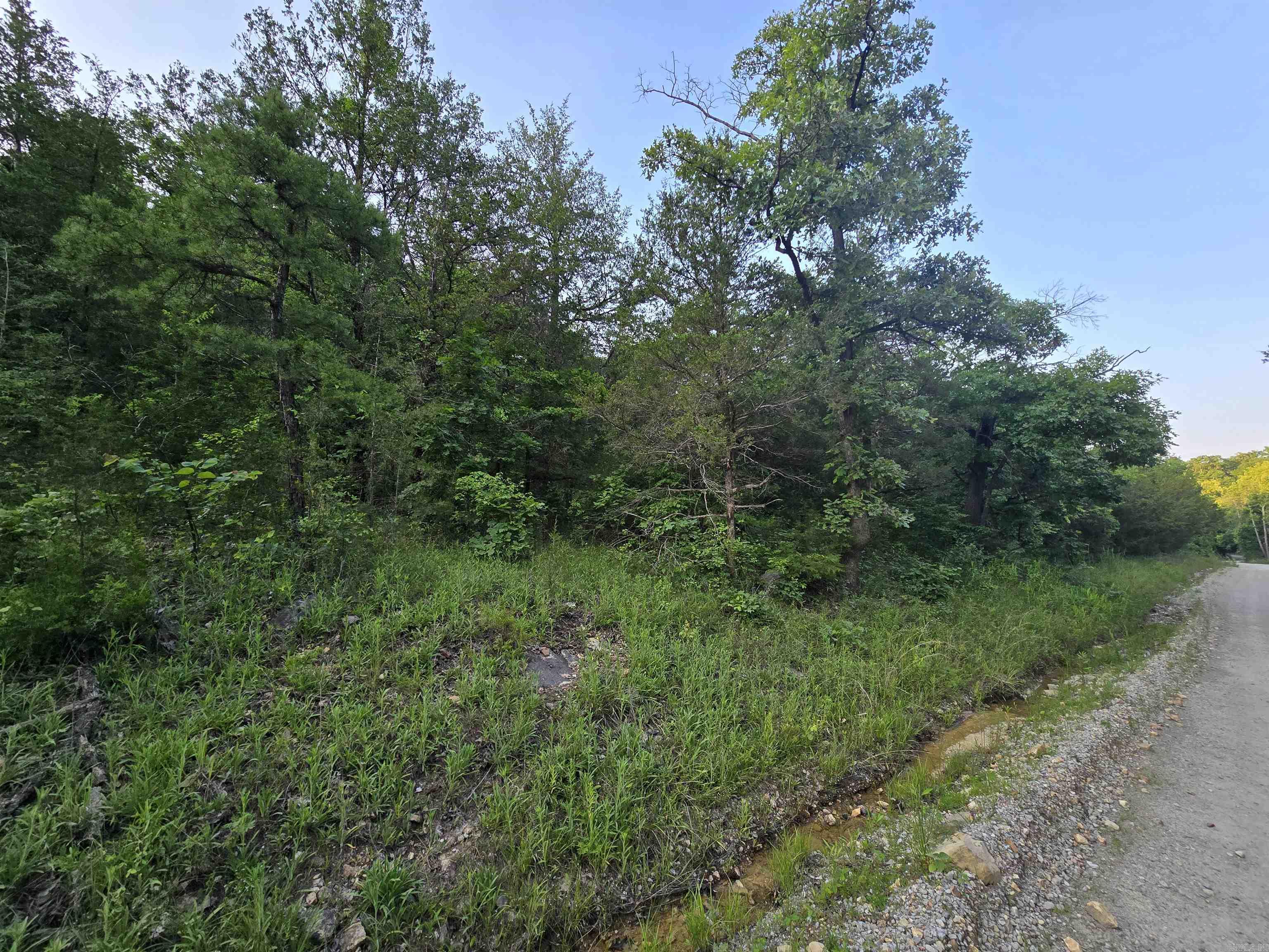  N Hopewell Hollow RD  Norfork, AR