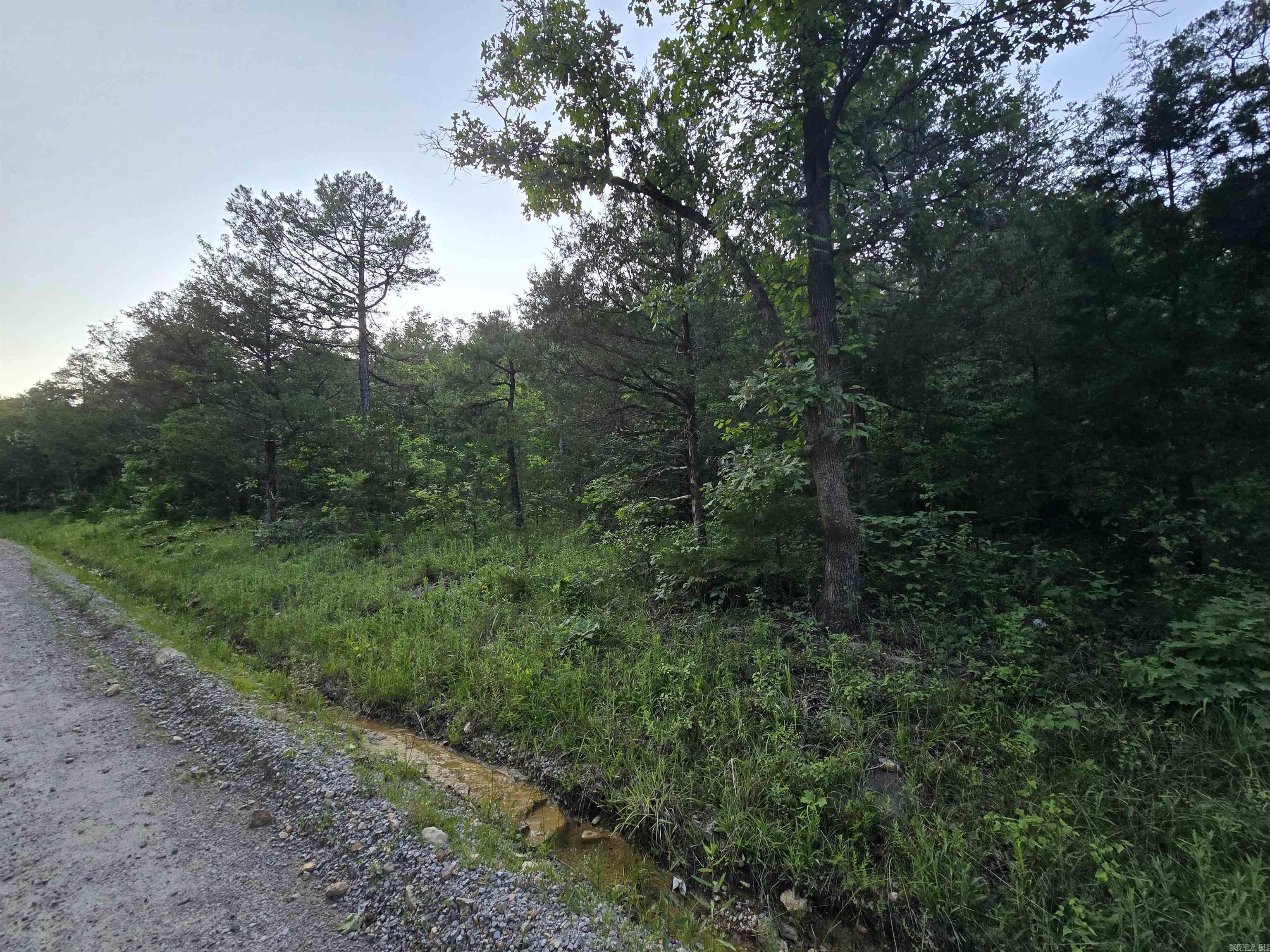  N Hopewell Hollow RD  Norfork, AR