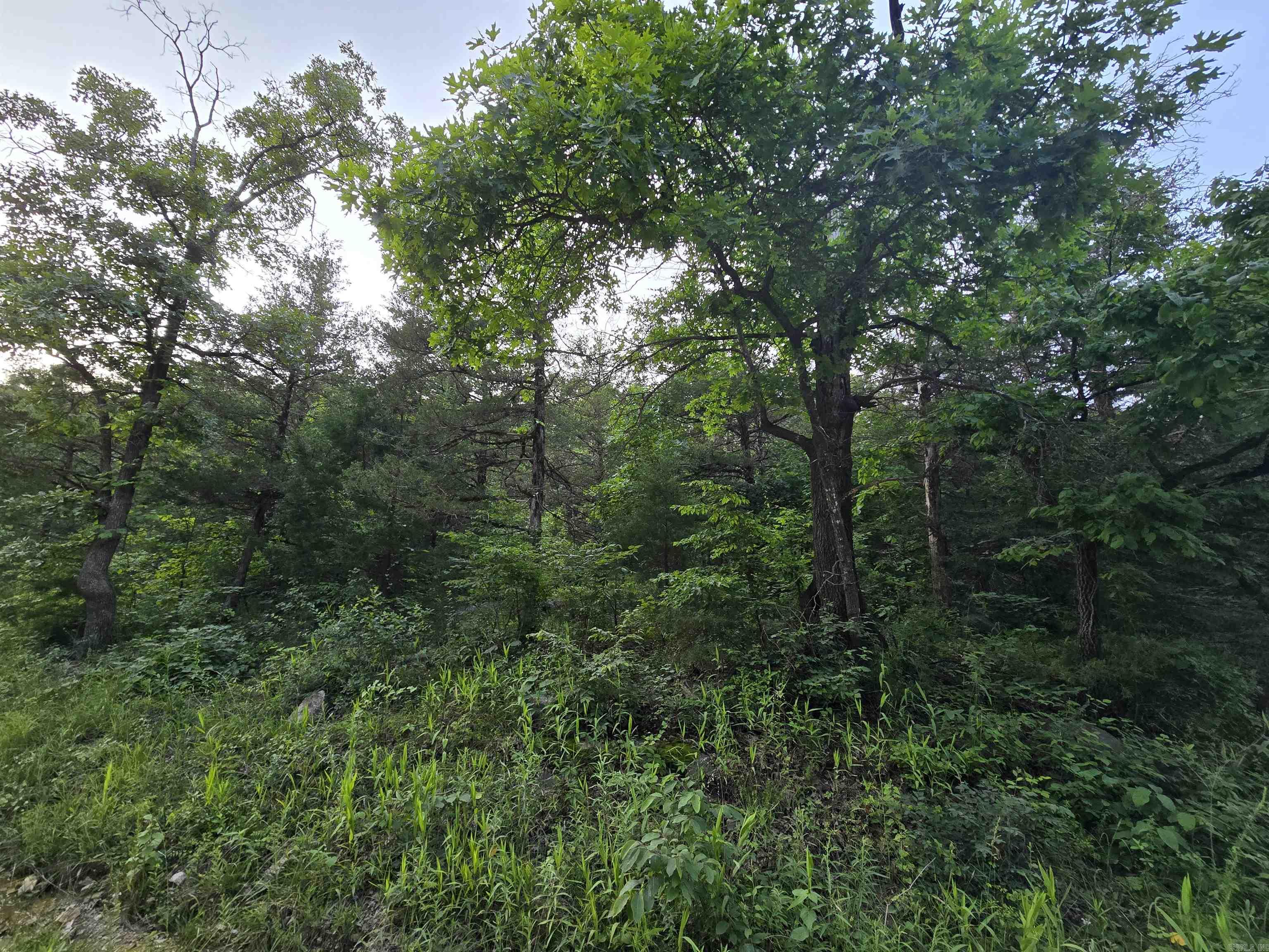  N Hopewell Hollow RD  Norfork, AR