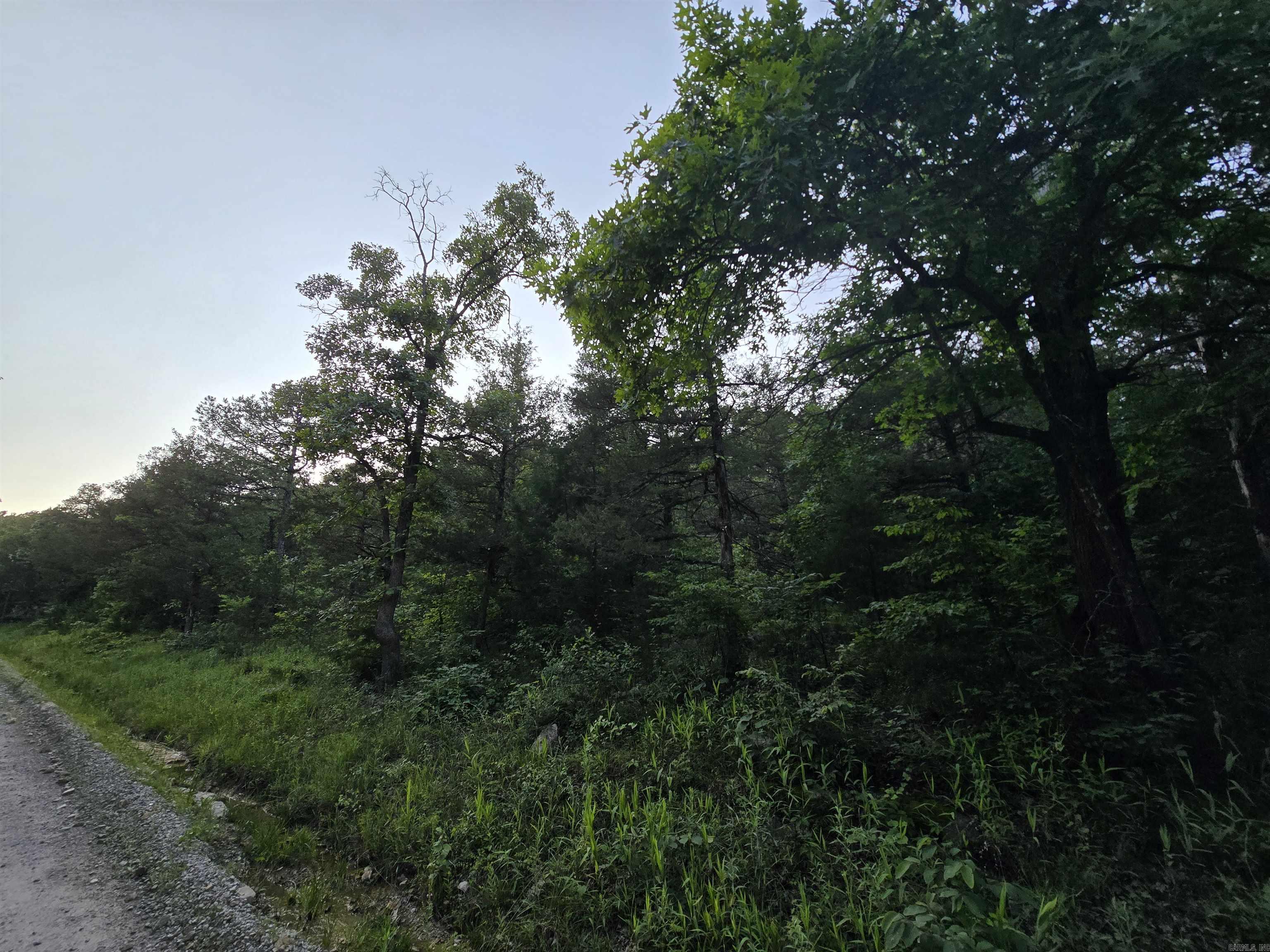  N Hopewell Hollow RD  Norfork, AR