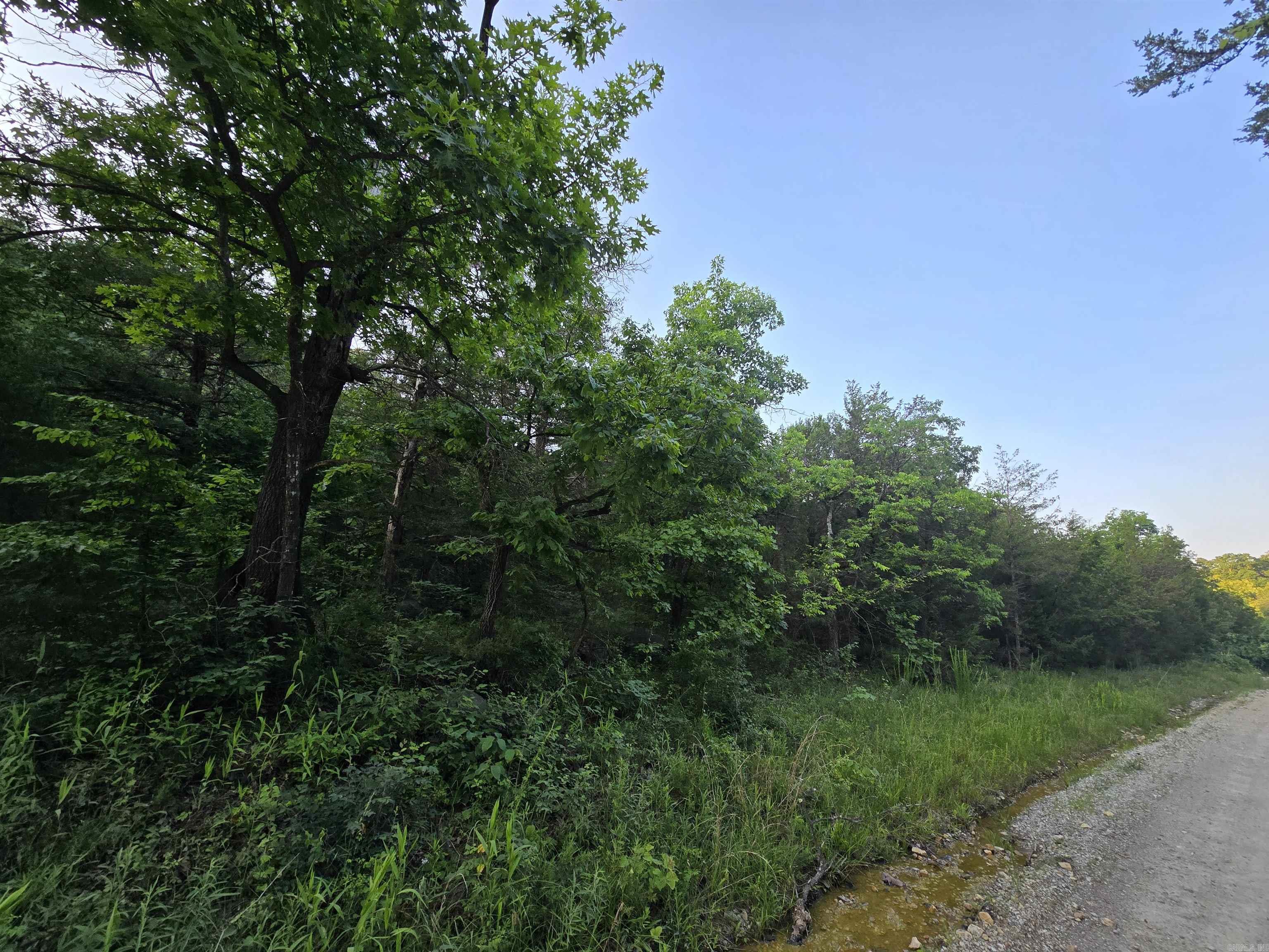  N Hopewell Hollow RD  Norfork, AR