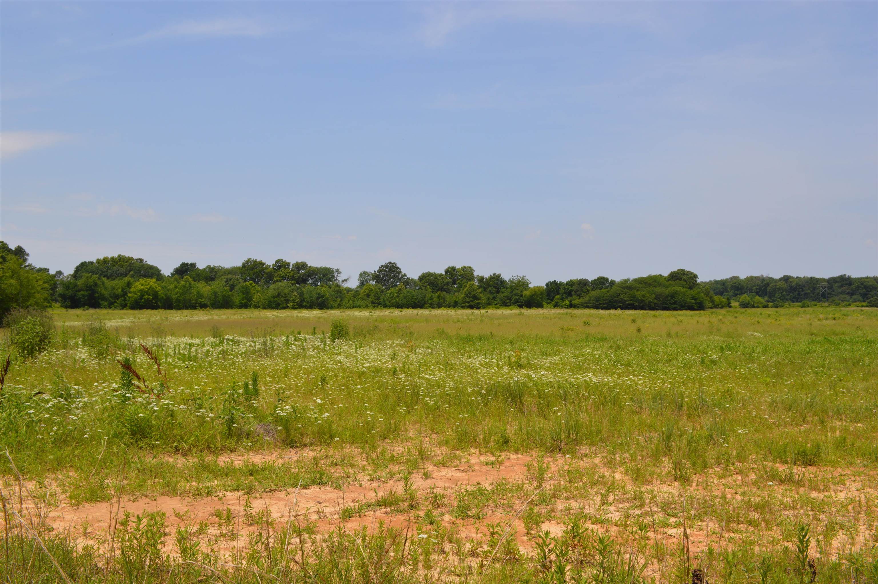 40 Acres  Fisher, AR