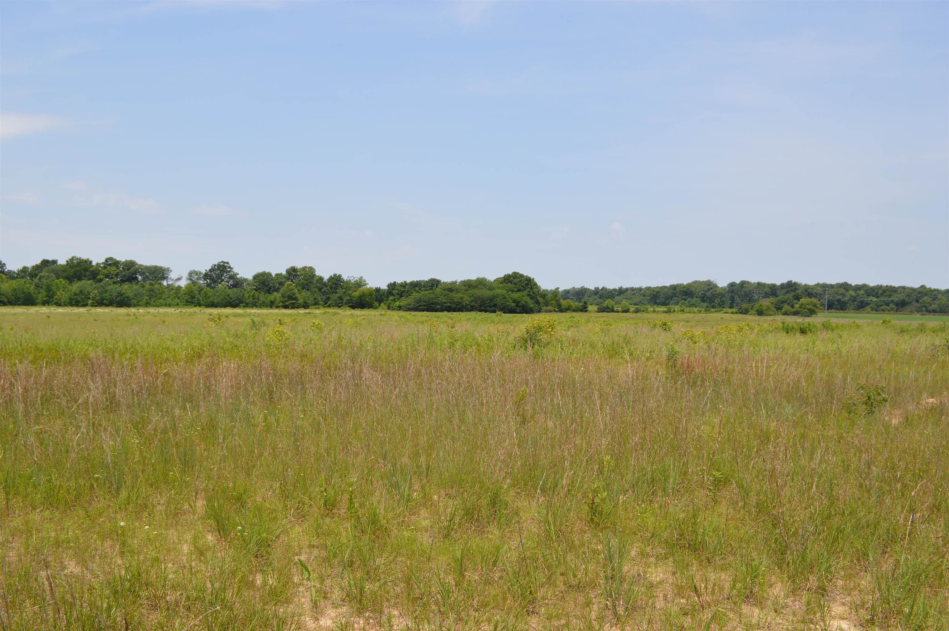 40 Acres  Fisher, AR