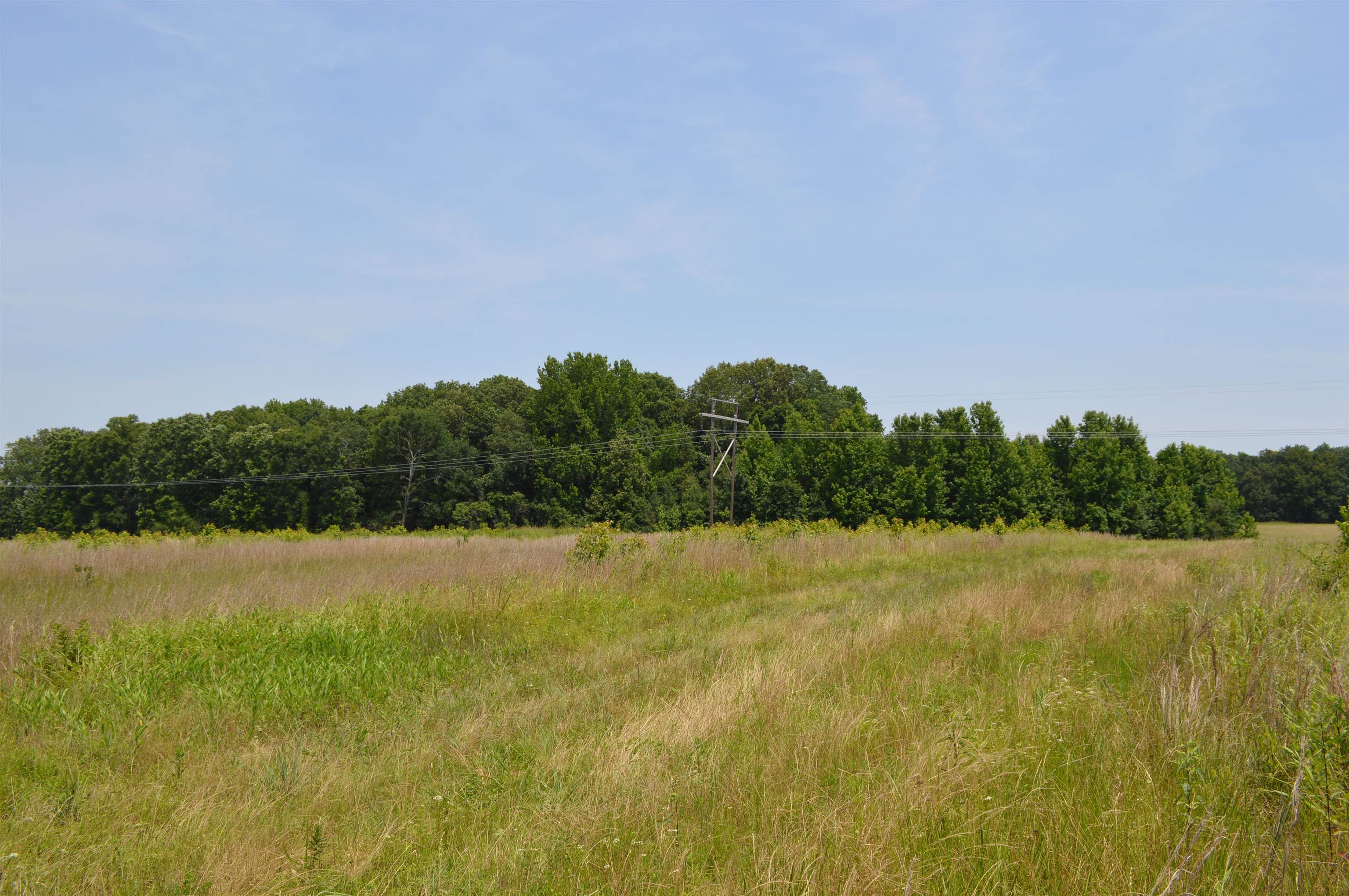 40 Acres  Fisher, AR
