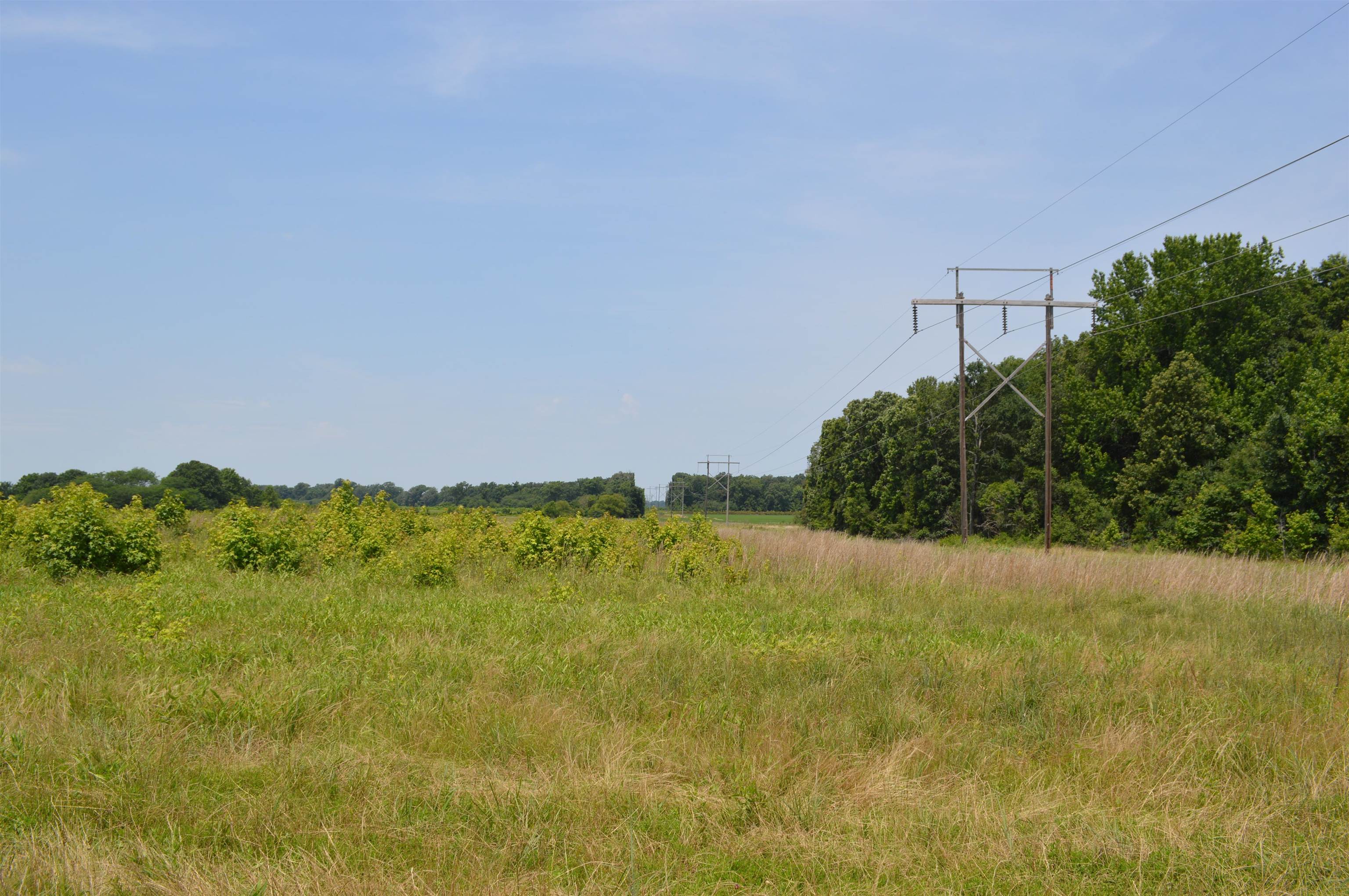 40 Acres  Fisher, AR