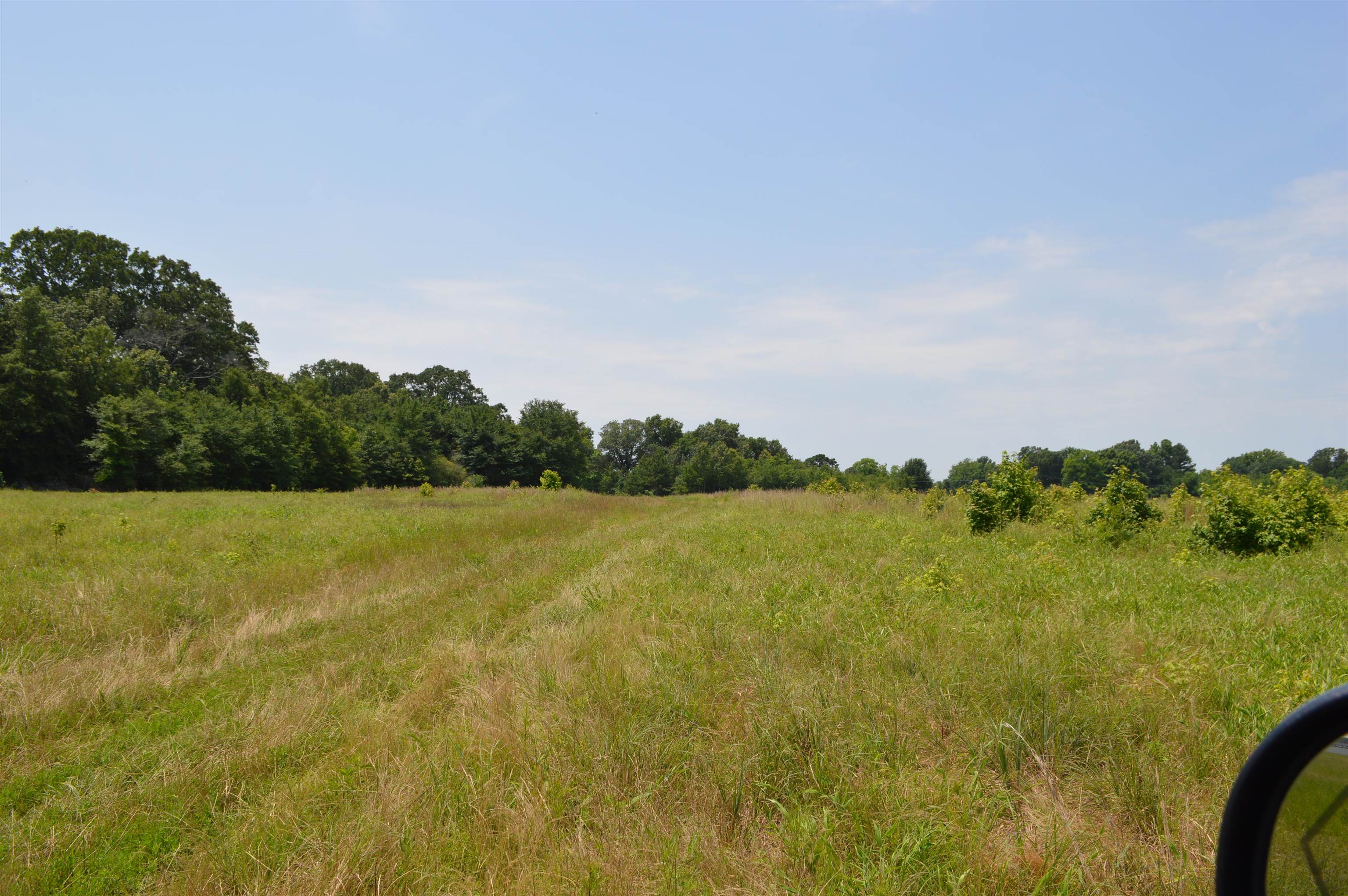 40 Acres  Fisher, AR
