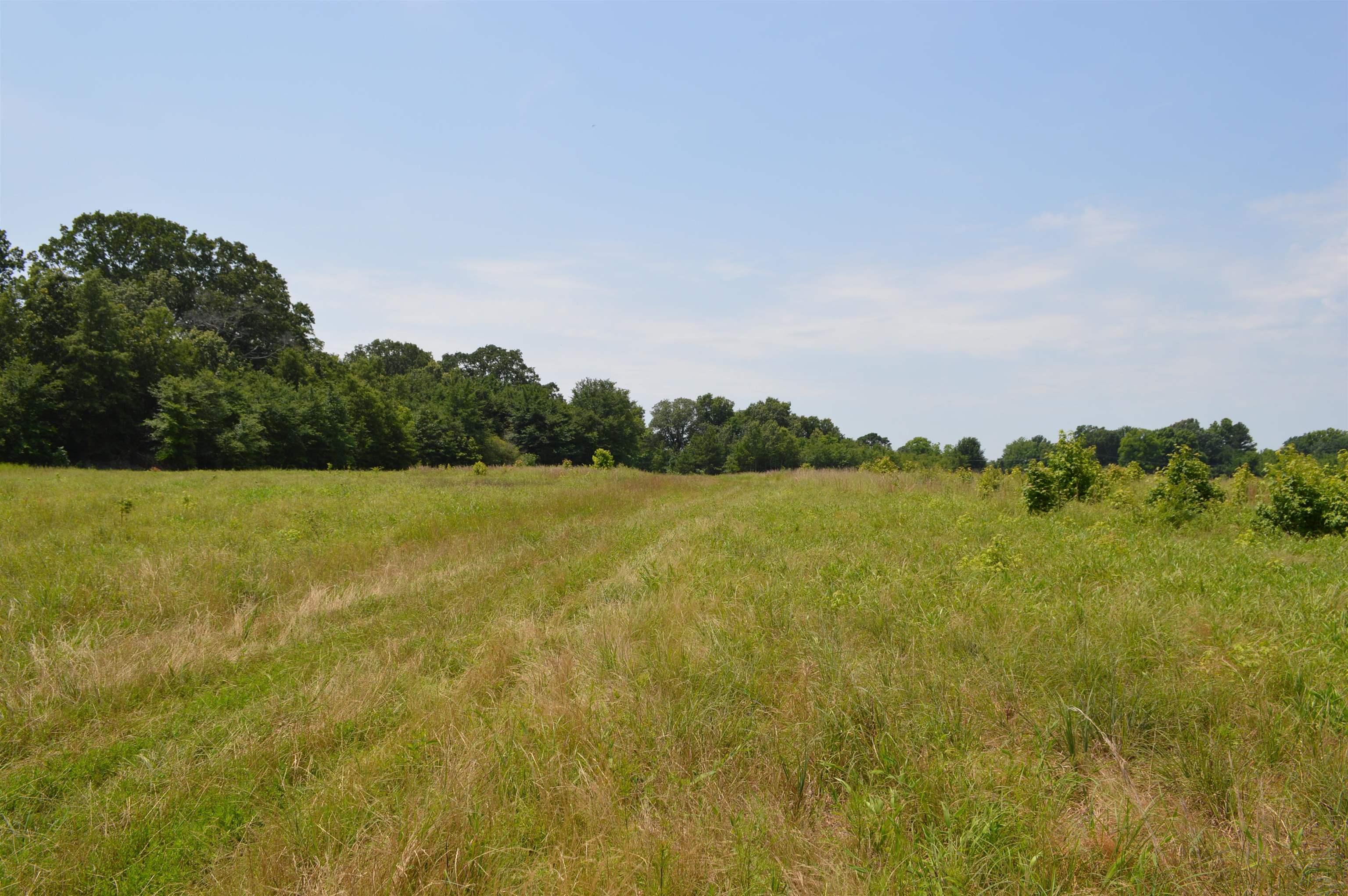 40 Acres  Fisher, AR