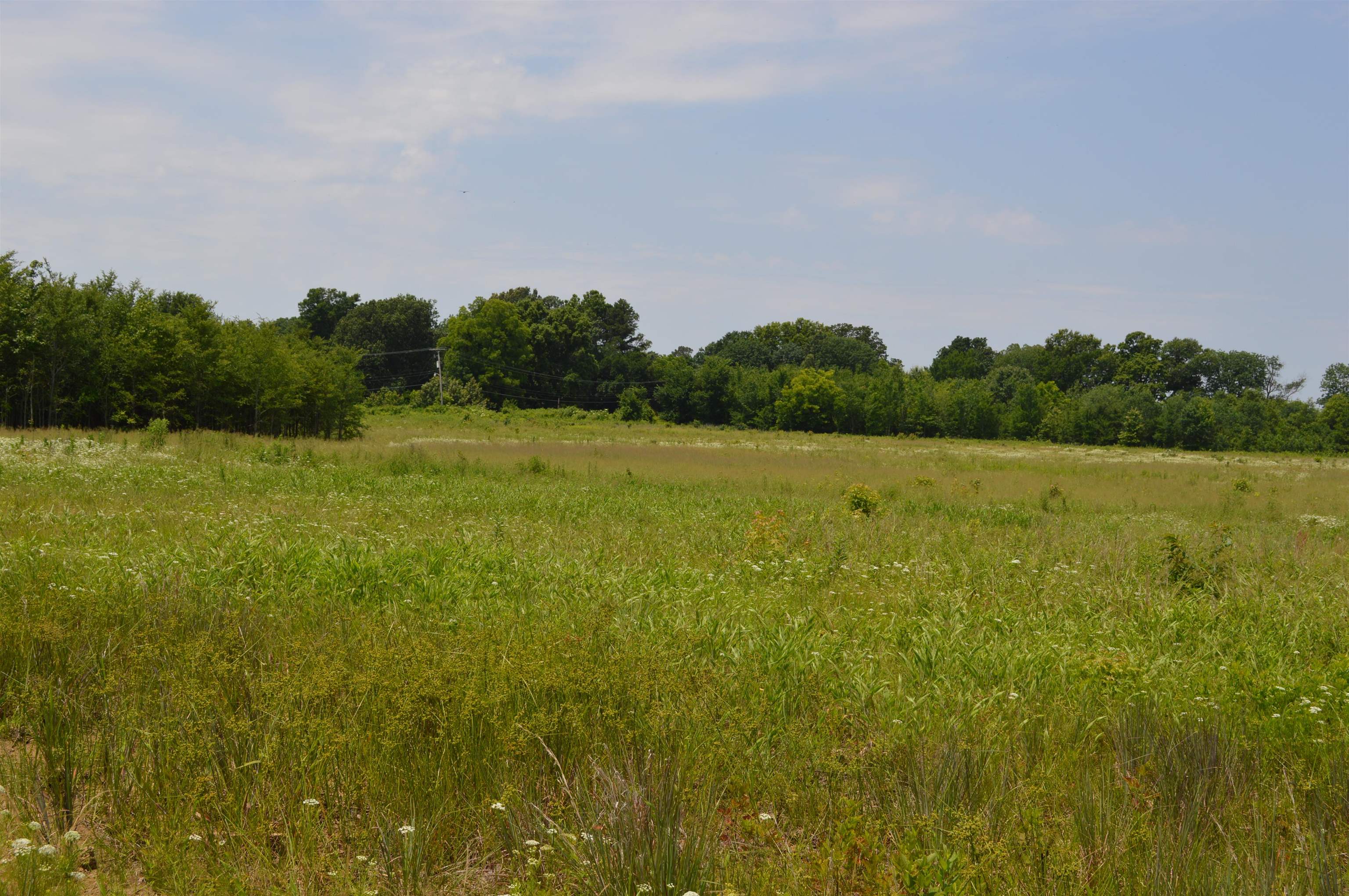 40 Acres  Fisher, AR