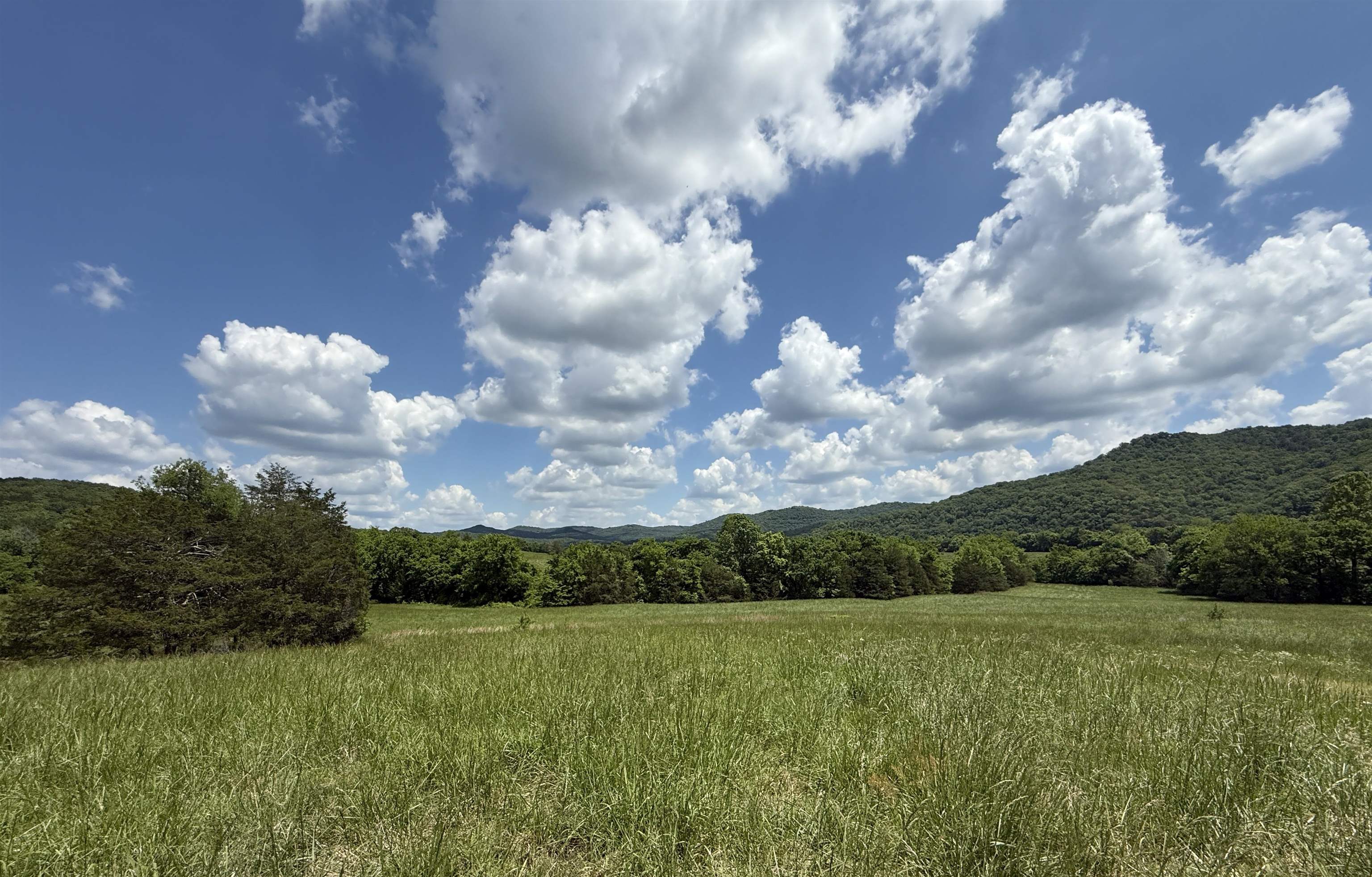  Hwy 5 North  Mountain View, AR