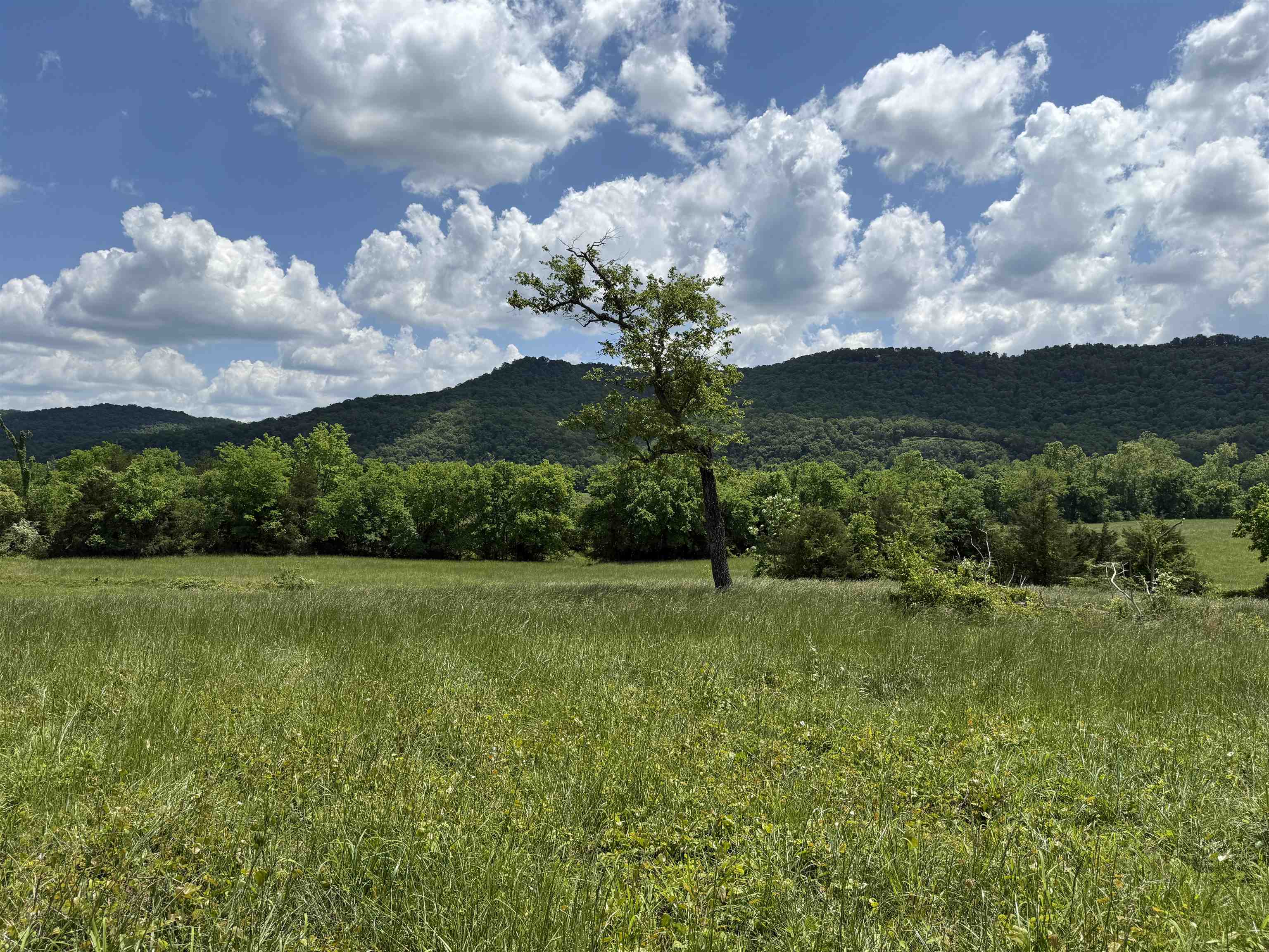  Hwy 5 North  Mountain View, AR