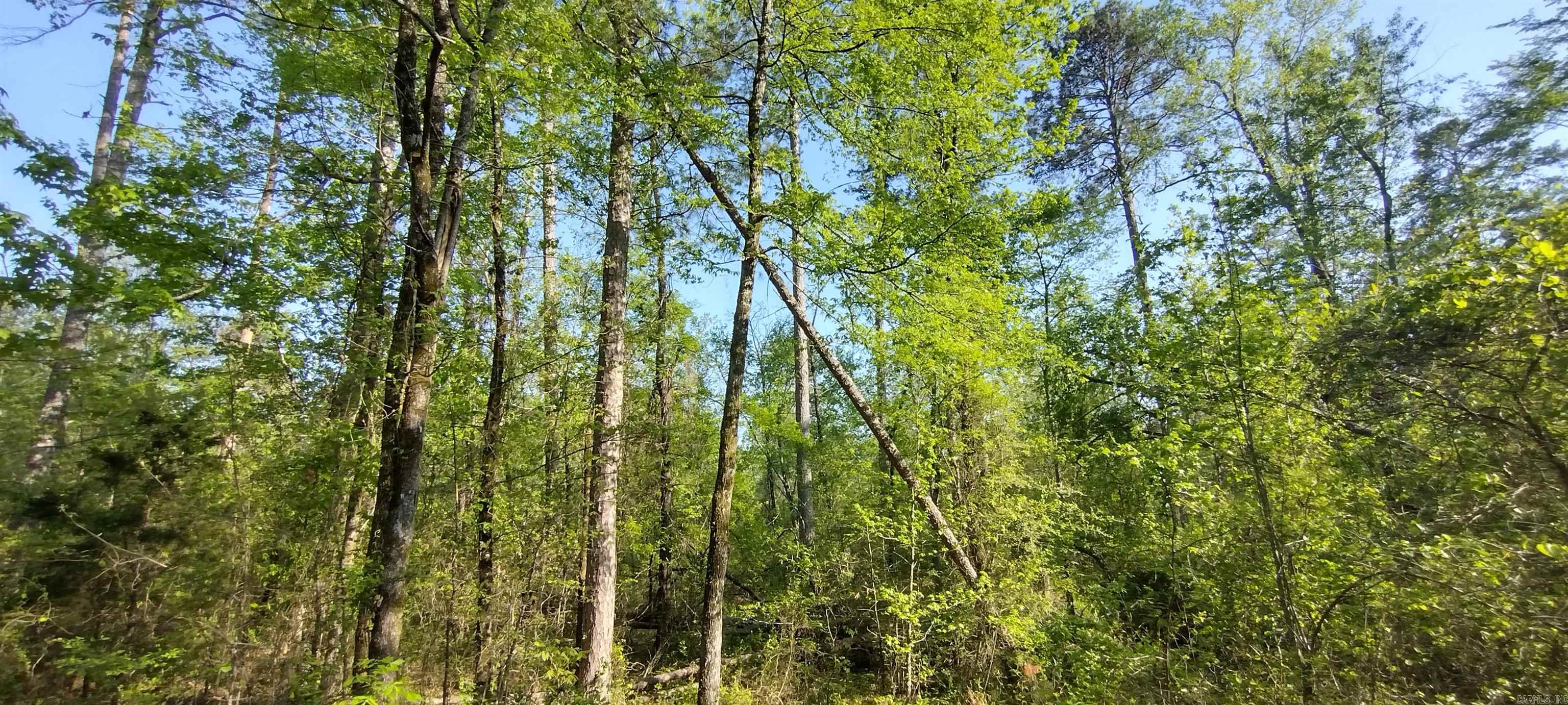 14 Alicante  Hot Springs Village, AR
