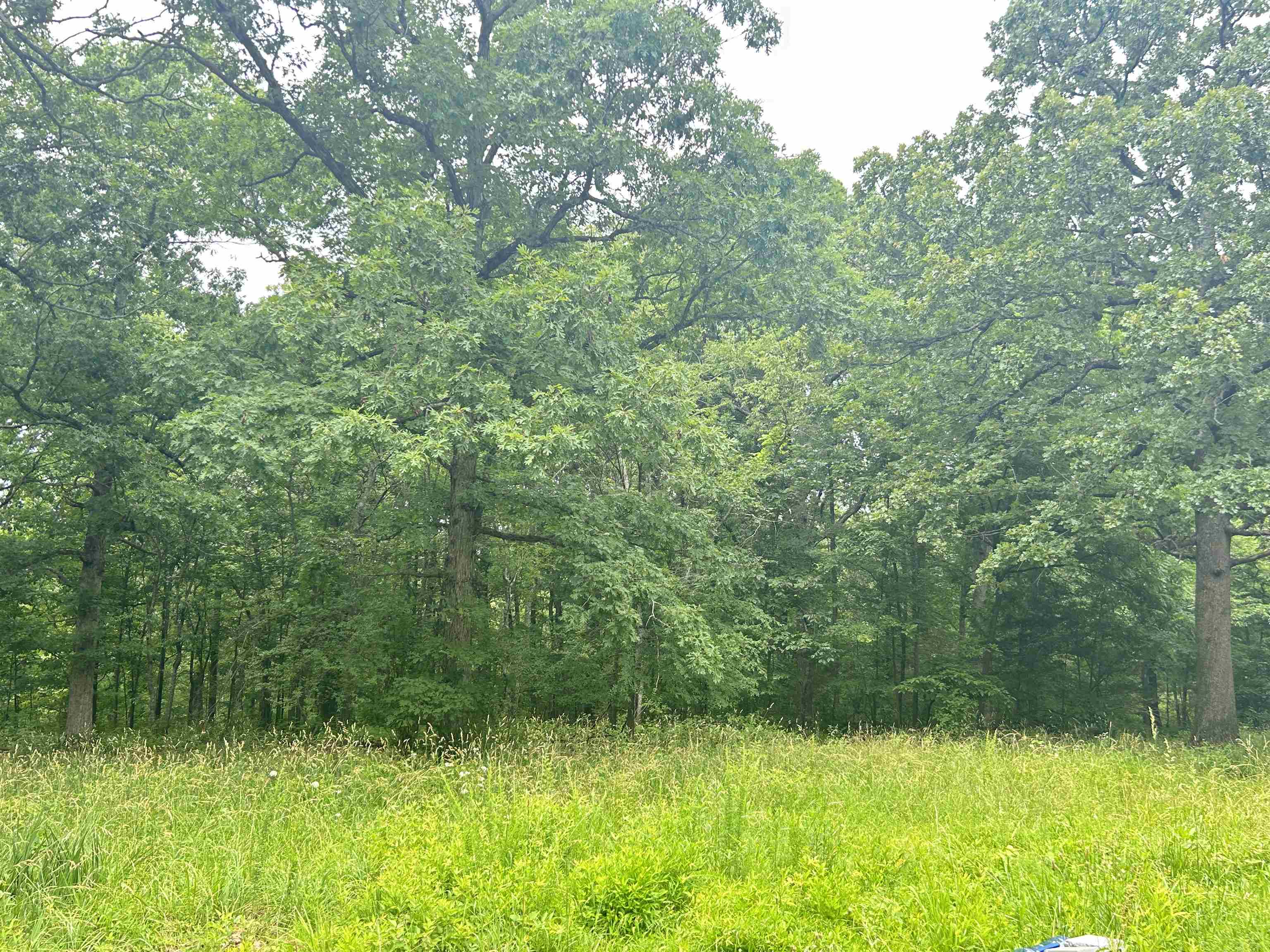 TBD FM 101  Highland, AR