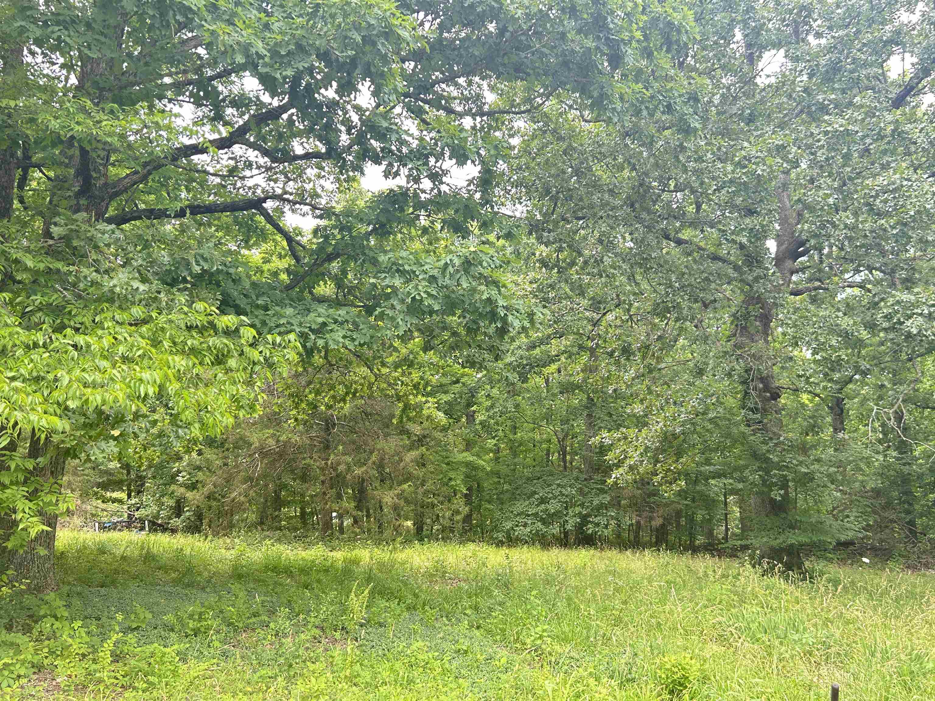 TBD FM 101  Highland, AR