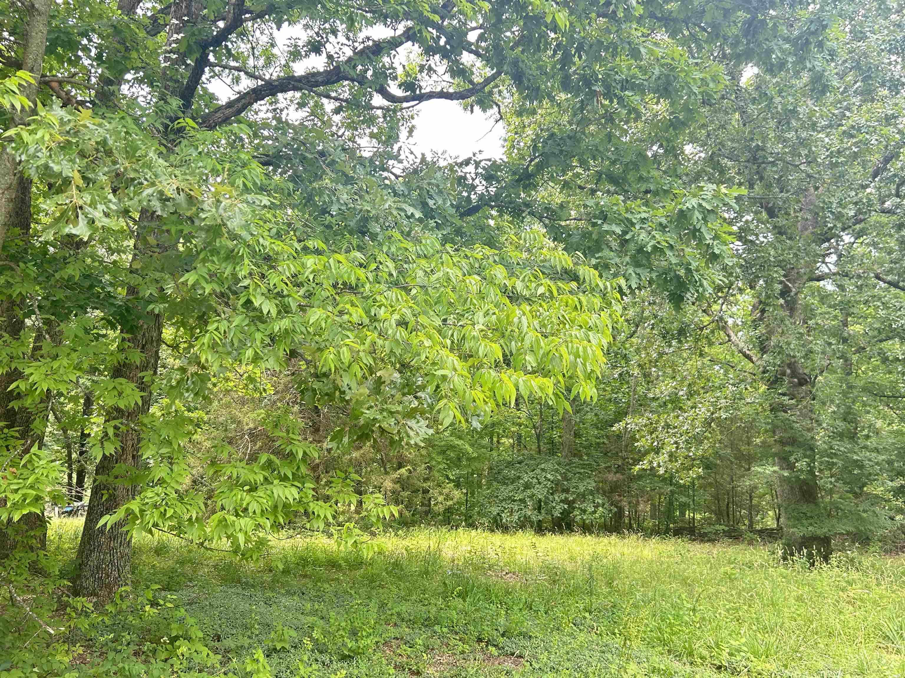 TBD FM 101  Highland, AR