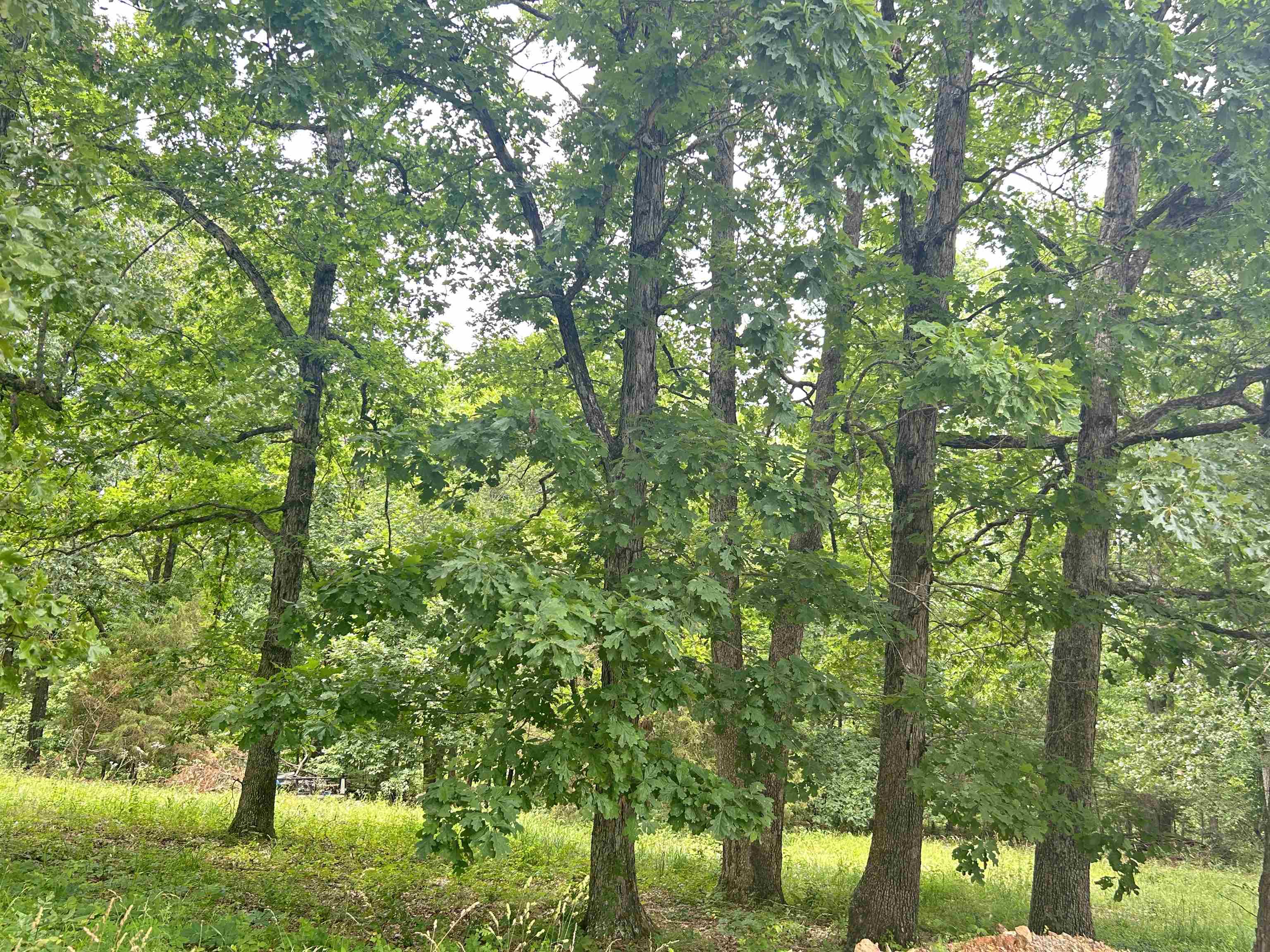 TBD FM 101  Highland, AR
