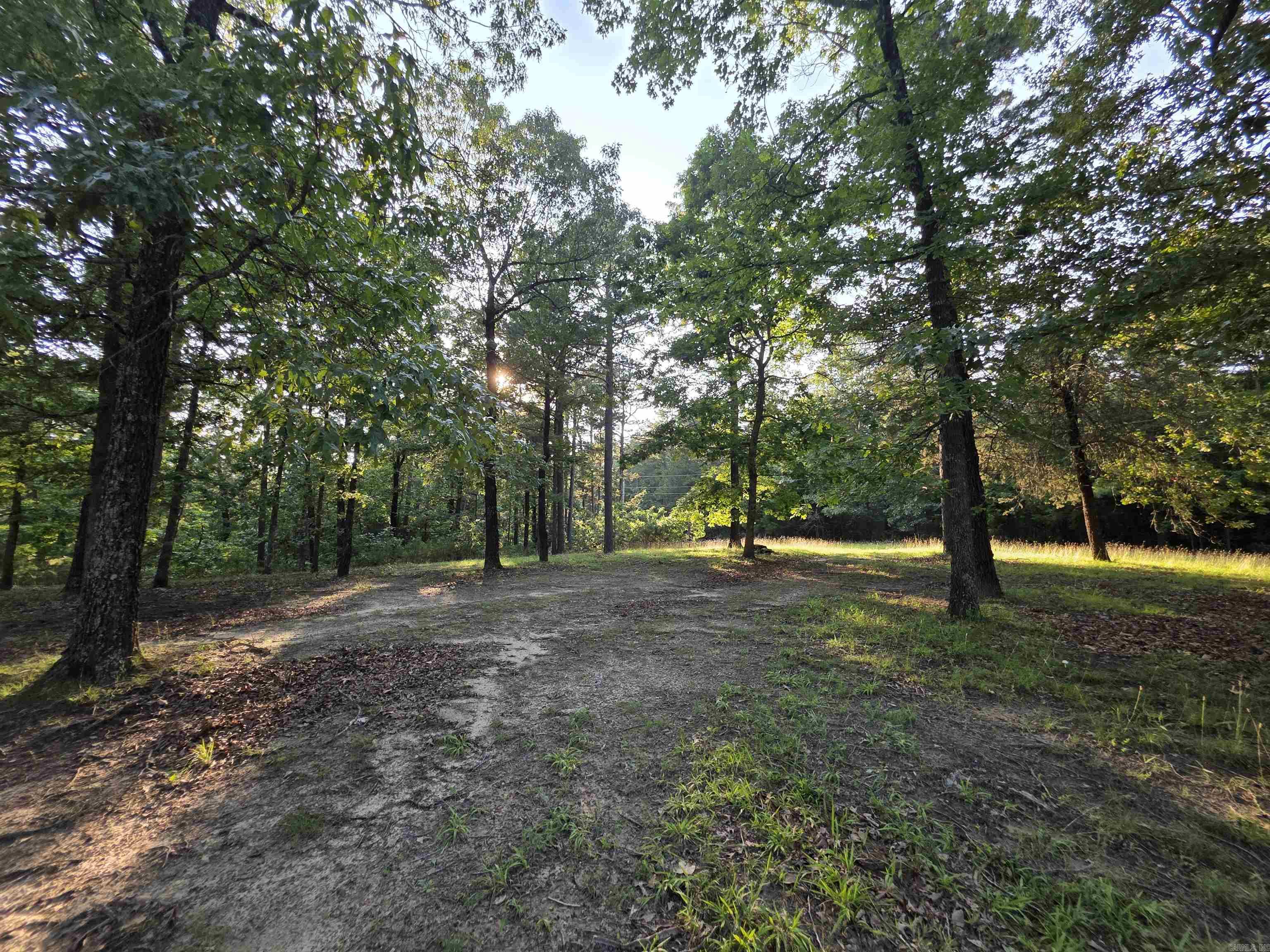 274 Hopewell Hollow  Norfork, AR