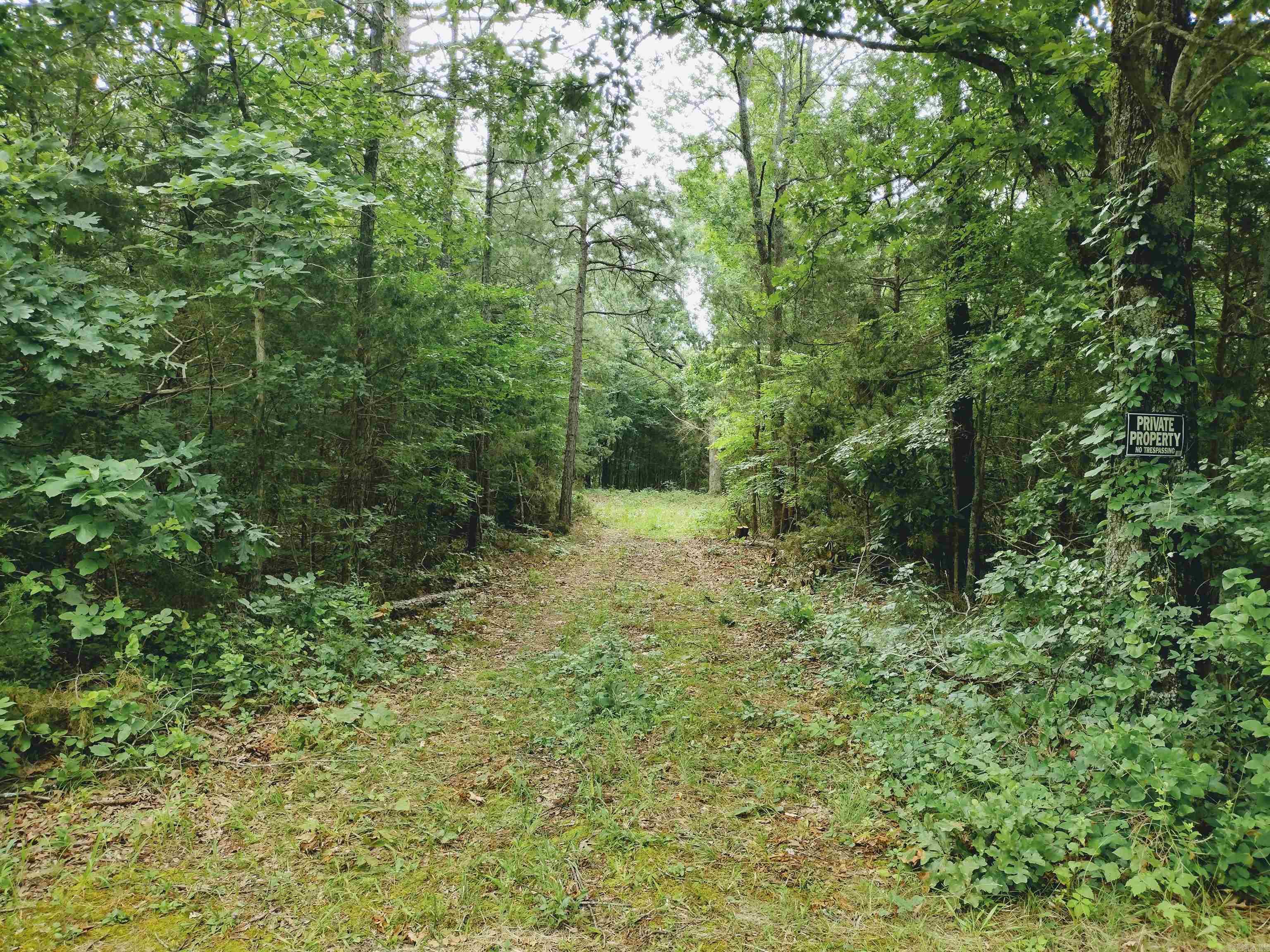 0 Little Pond Rd  Mountain View, AR