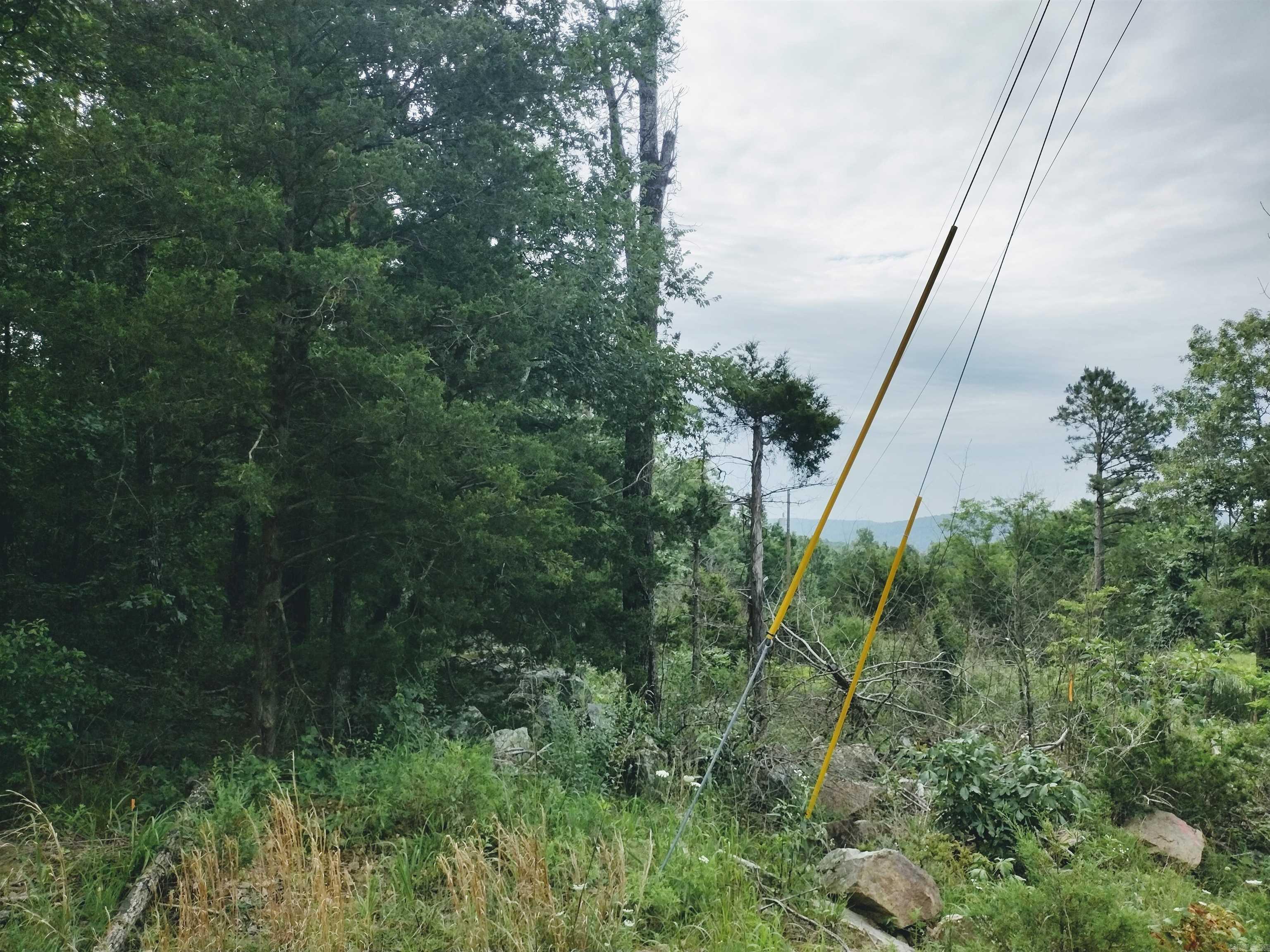0 Little Pond Rd  Mountain View, AR